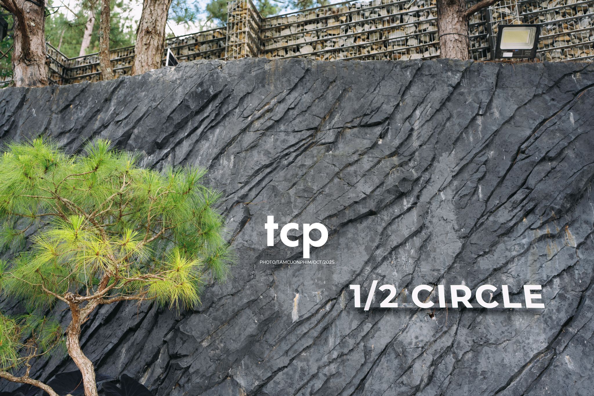 Tám Cuộn Phim - Phân cực vùng cao nguyên