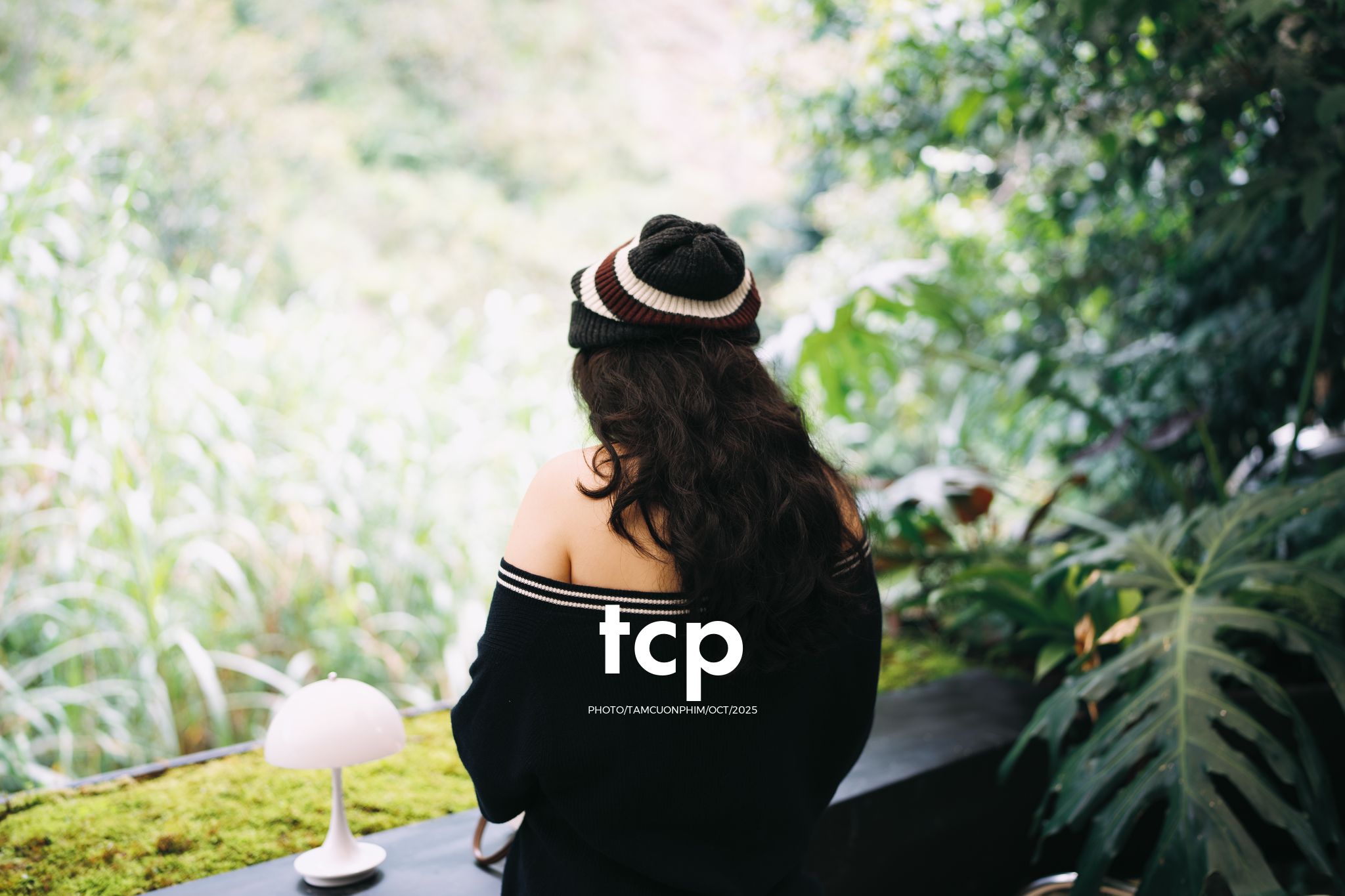 Tám Cuộn Phim - Phân cực vùng cao nguyên