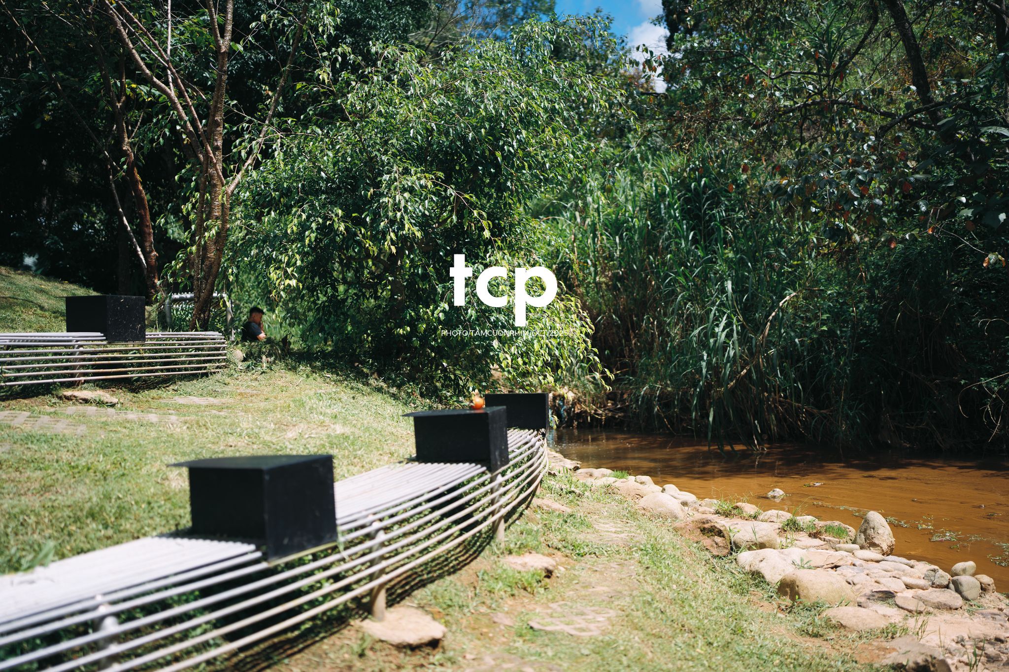 Tám Cuộn Phim - Phân cực vùng cao nguyên