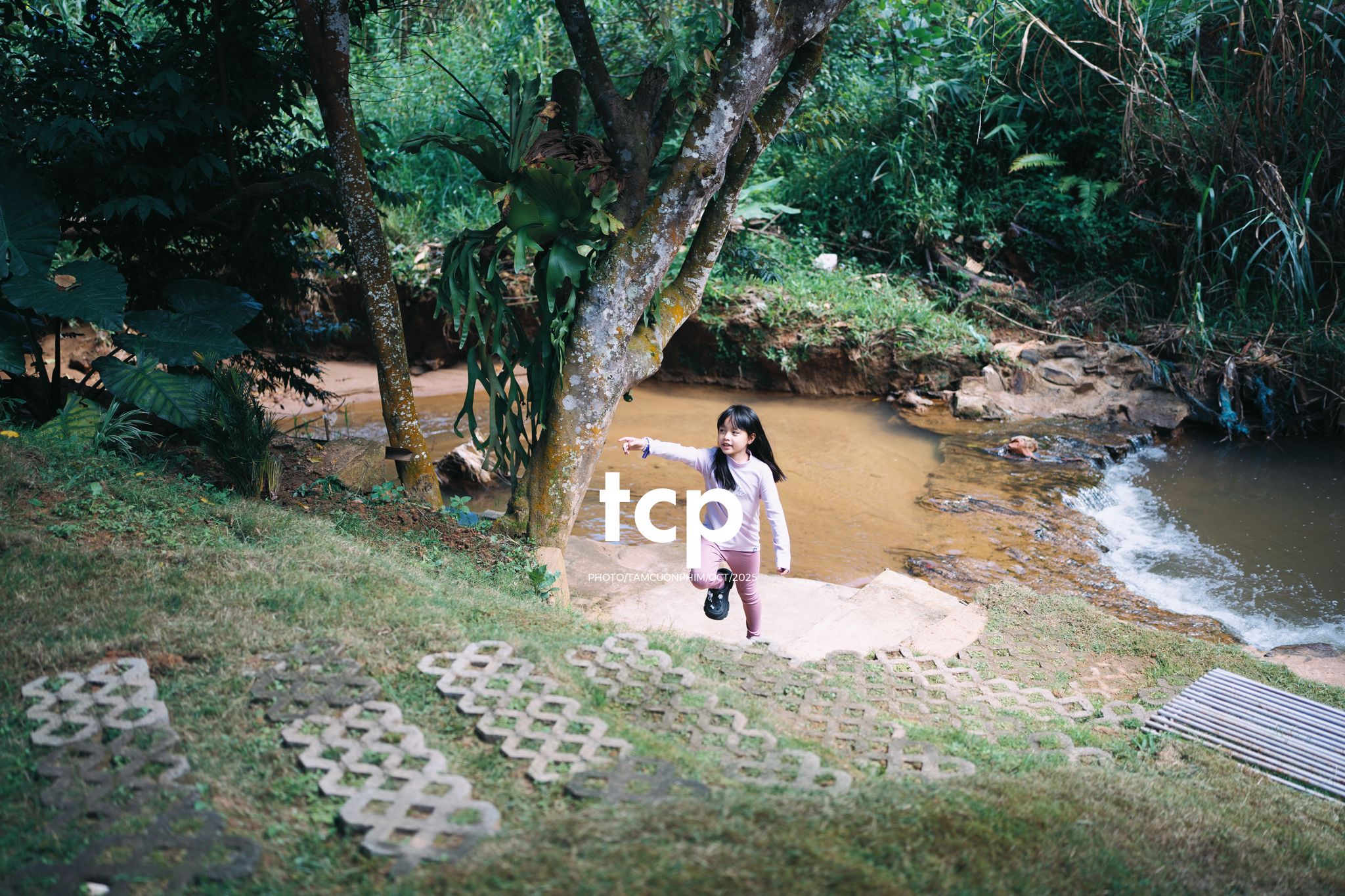 Tám Cuộn Phim - Phân cực vùng cao nguyên