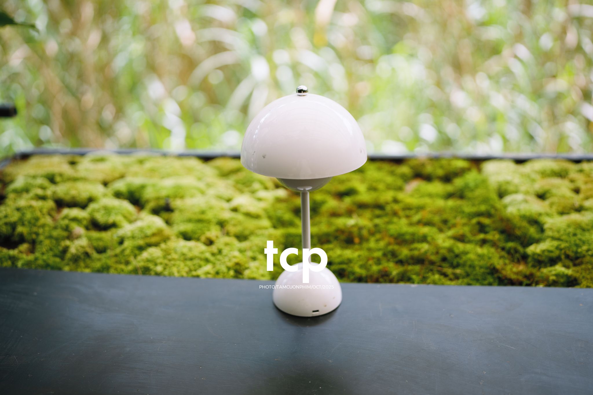 Tám Cuộn Phim - Phân cực vùng cao nguyên