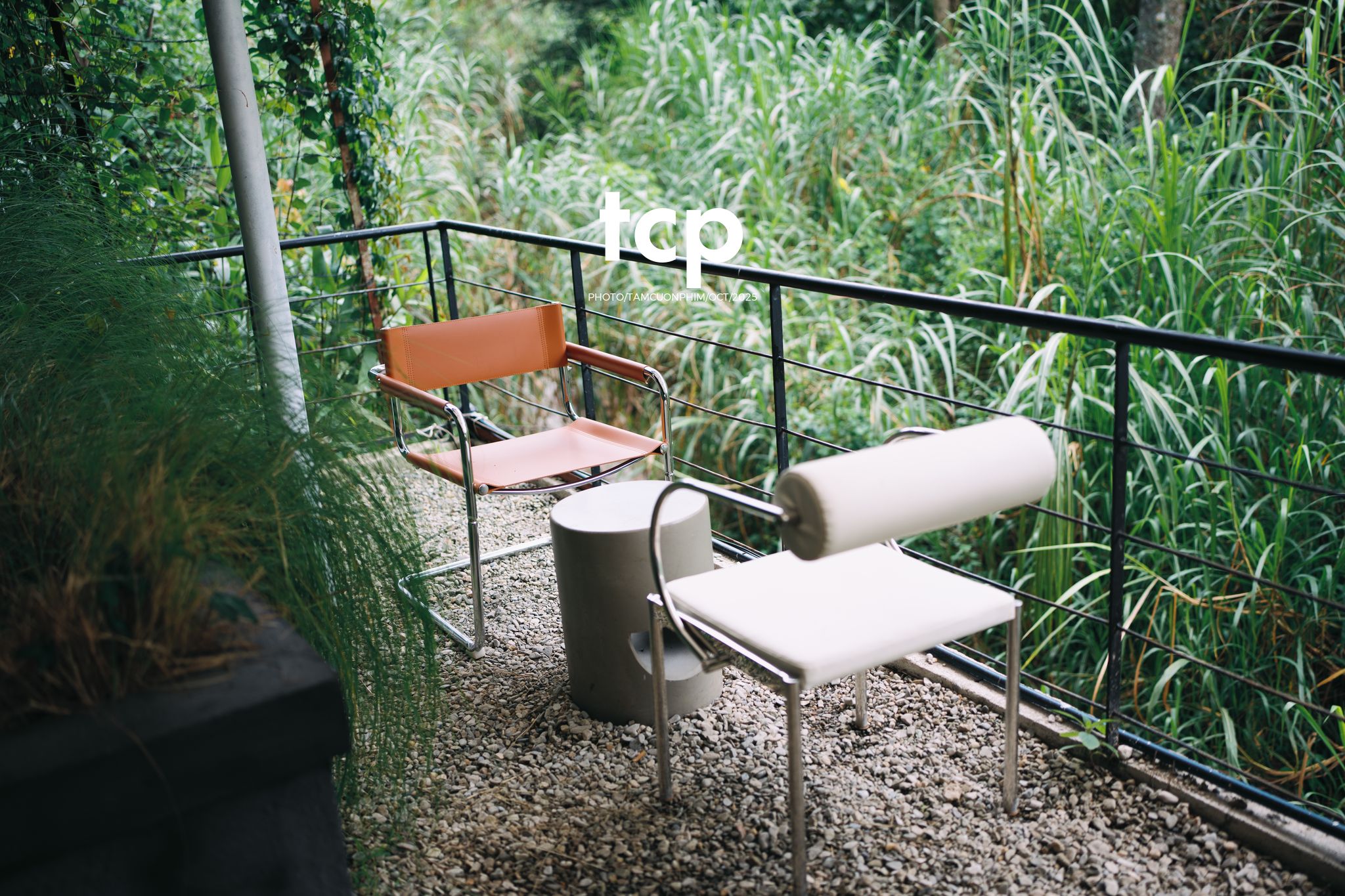 Tám Cuộn Phim - Phân cực vùng cao nguyên