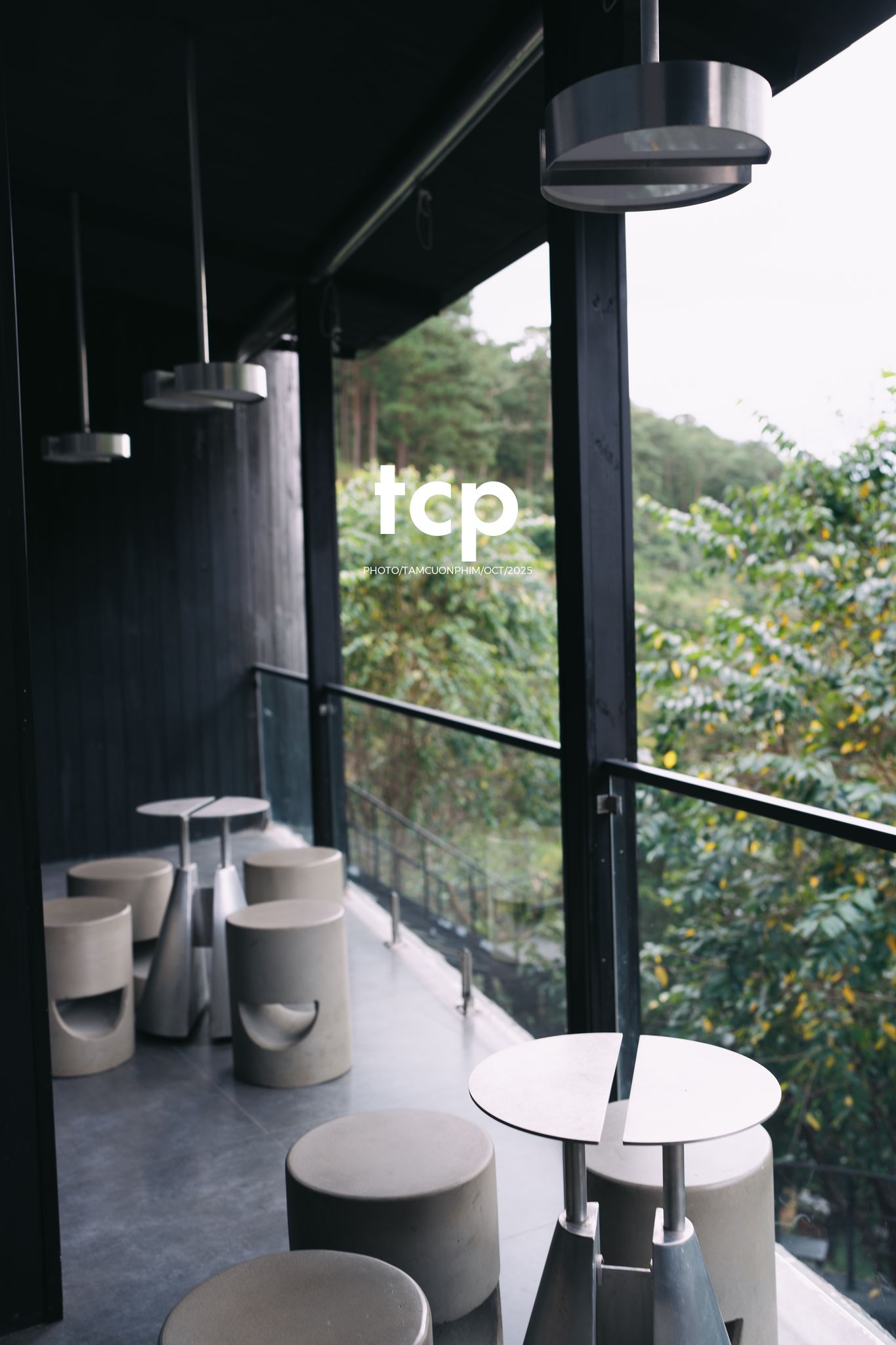 Tám Cuộn Phim - Phân cực vùng cao nguyên