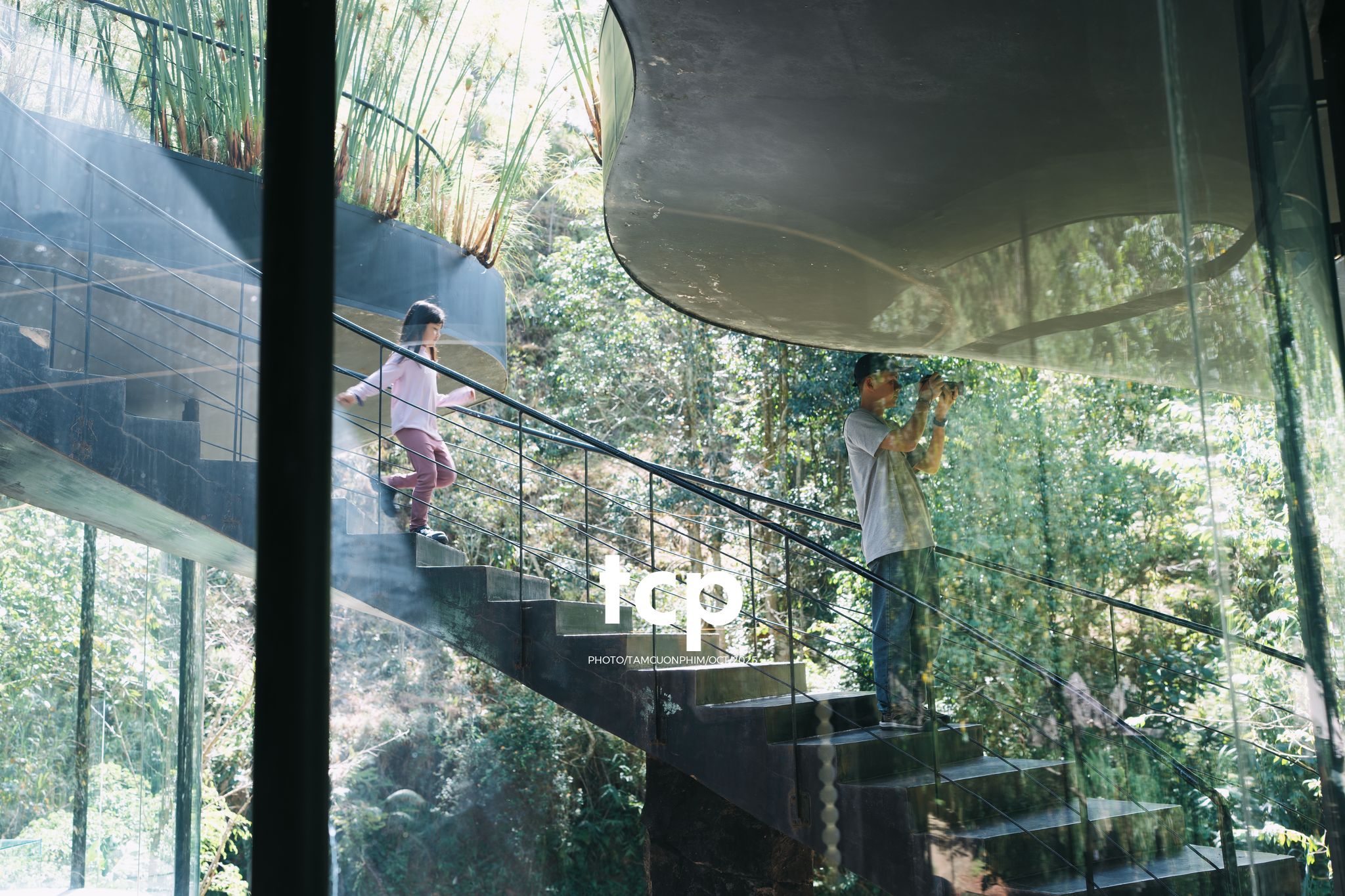 Tám Cuộn Phim - Phân cực vùng cao nguyên