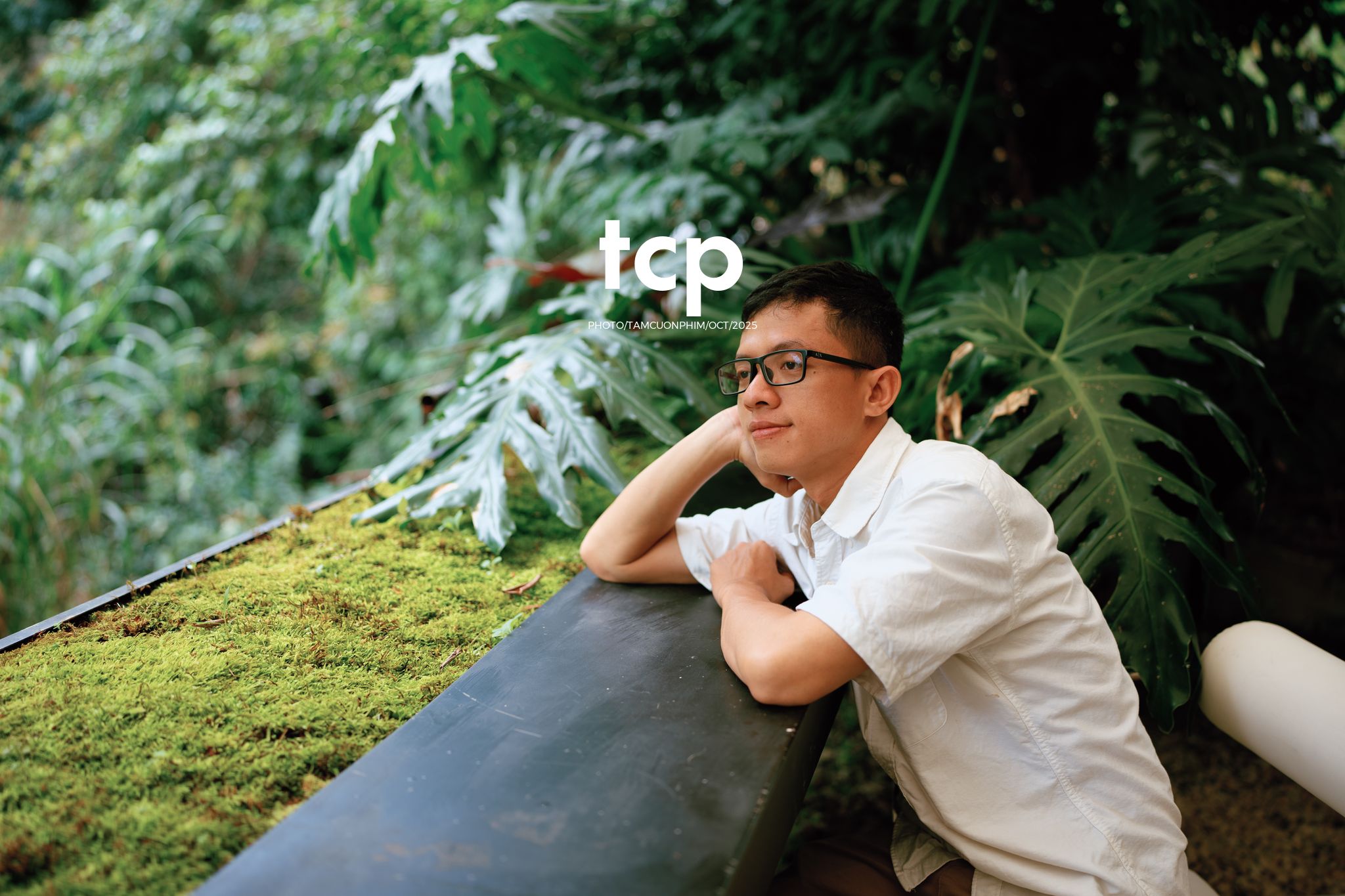 Tám Cuộn Phim - Phân cực vùng cao nguyên