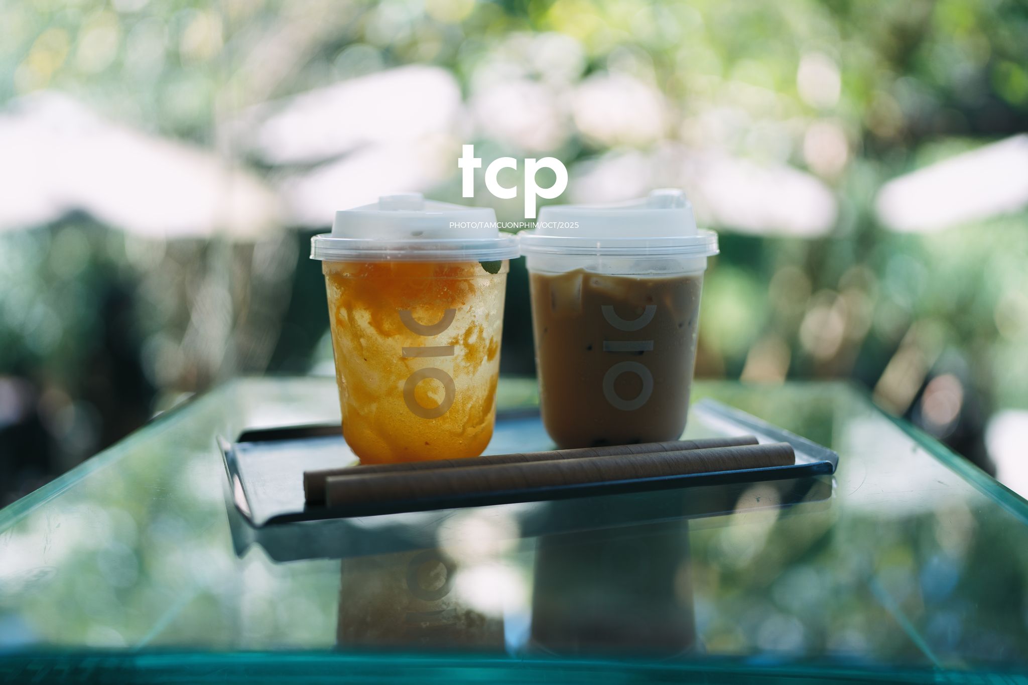 Tám Cuộn Phim - Phân cực vùng cao nguyên