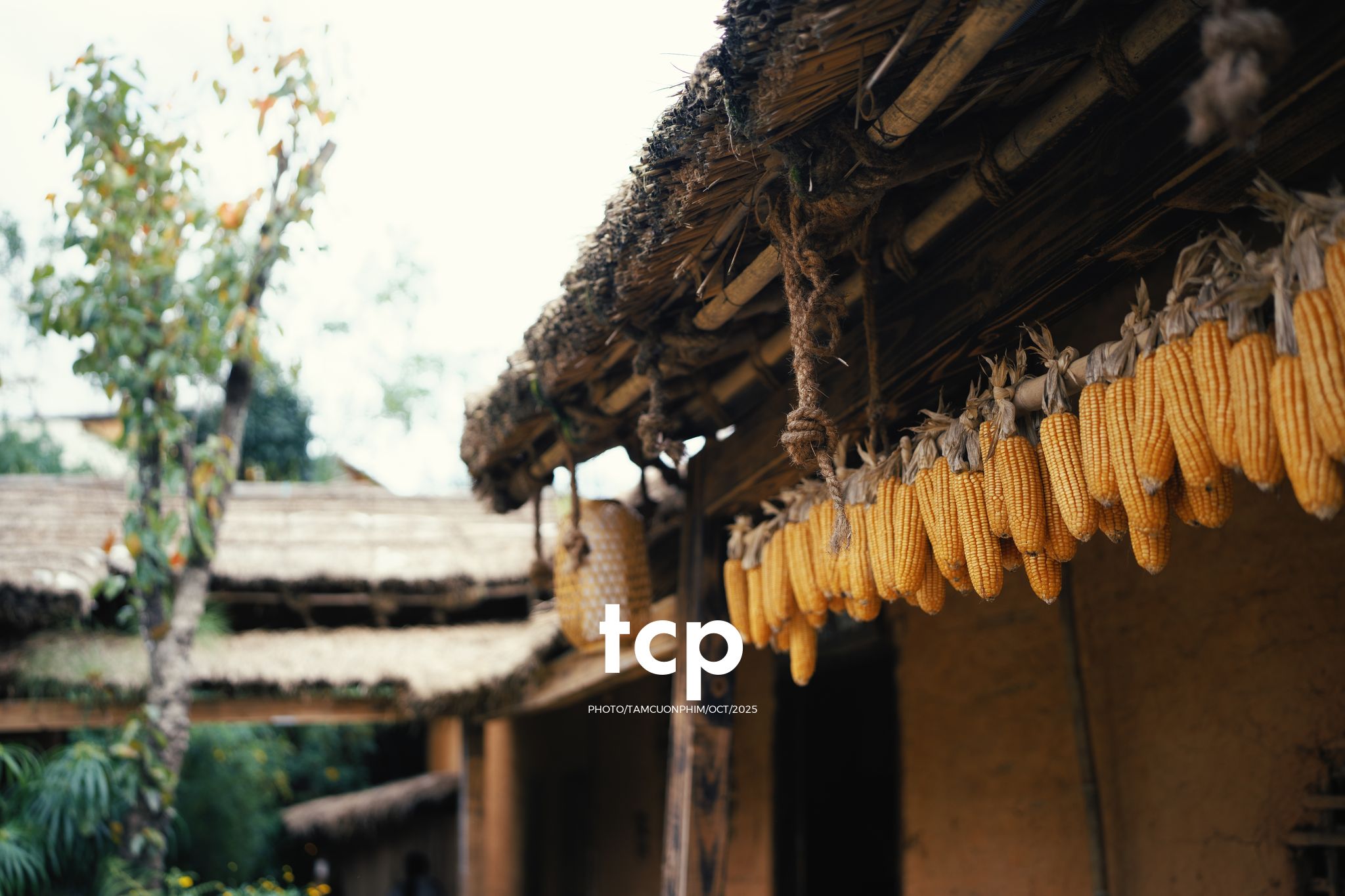 Tám Cuộn Phim - Chẳng phải chuyến đi nào cũng chỉ cần một chút bình yên thôi sao?