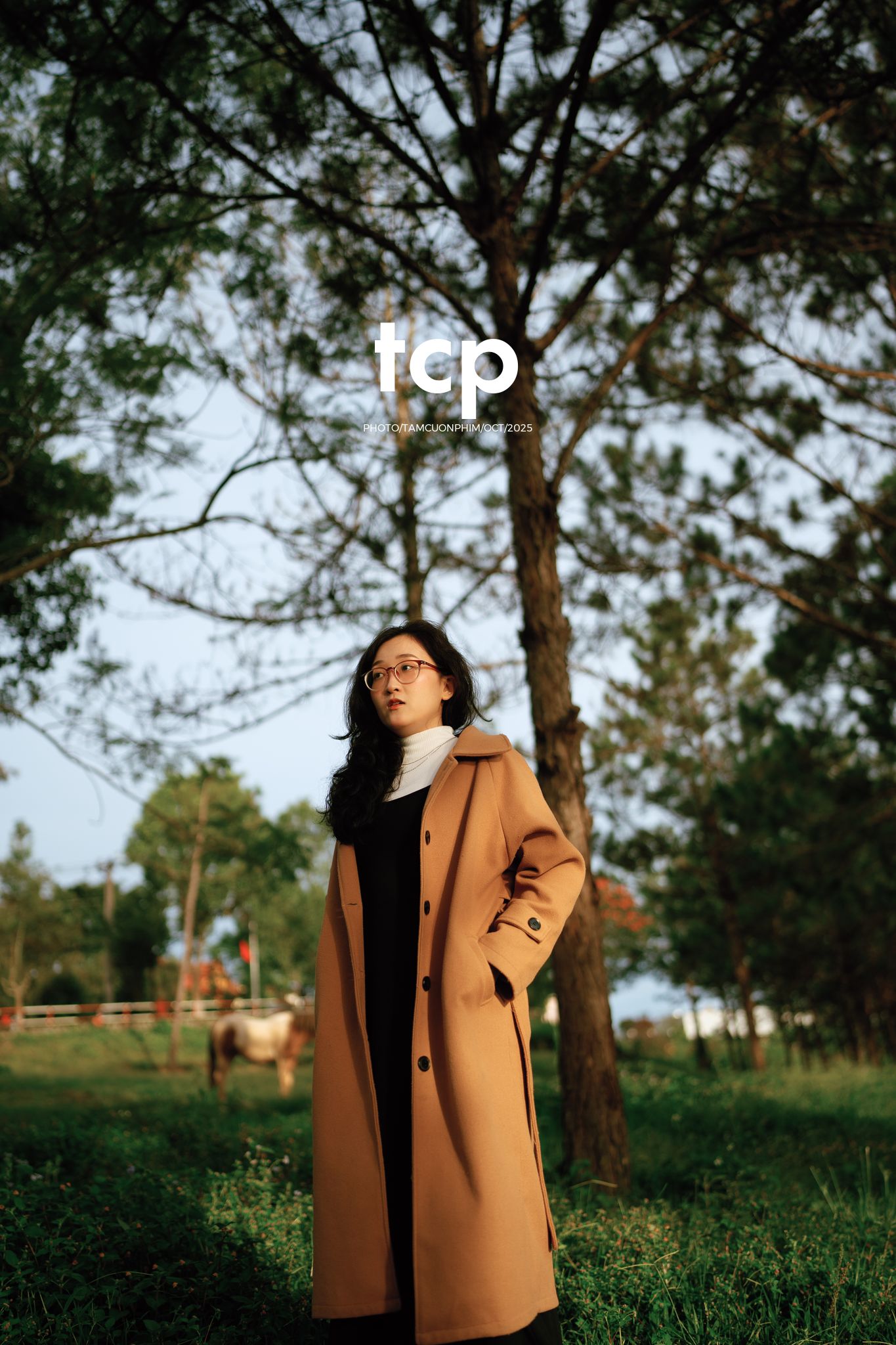 Tám Cuộn Phim - Chẳng phải chuyến đi nào cũng chỉ cần một chút bình yên thôi sao?