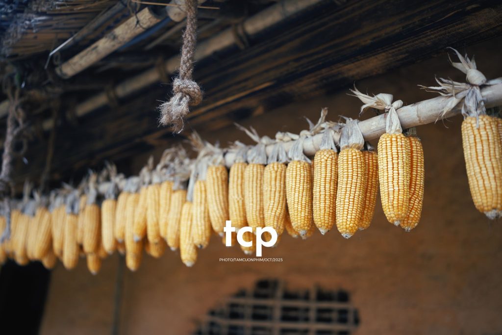 Tám Cuộn Phim - Chẳng phải chuyến đi nào cũng chỉ cần một chút bình yên thôi sao?