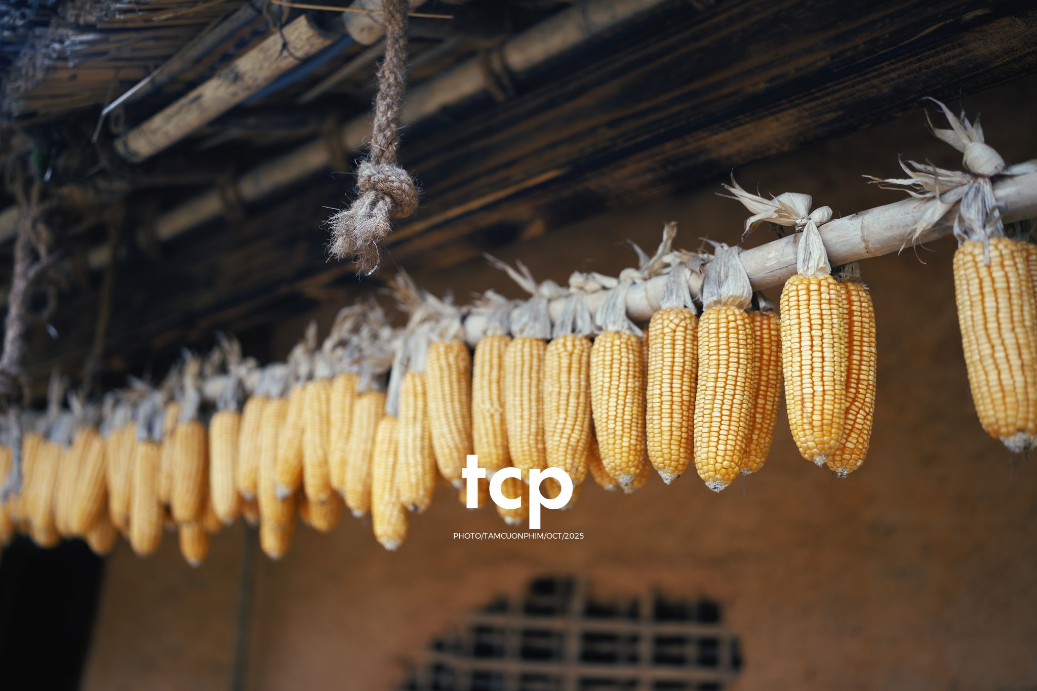 Tám Cuộn Phim - Chẳng phải chuyến đi nào cũng chỉ cần một chút bình yên thôi sao?