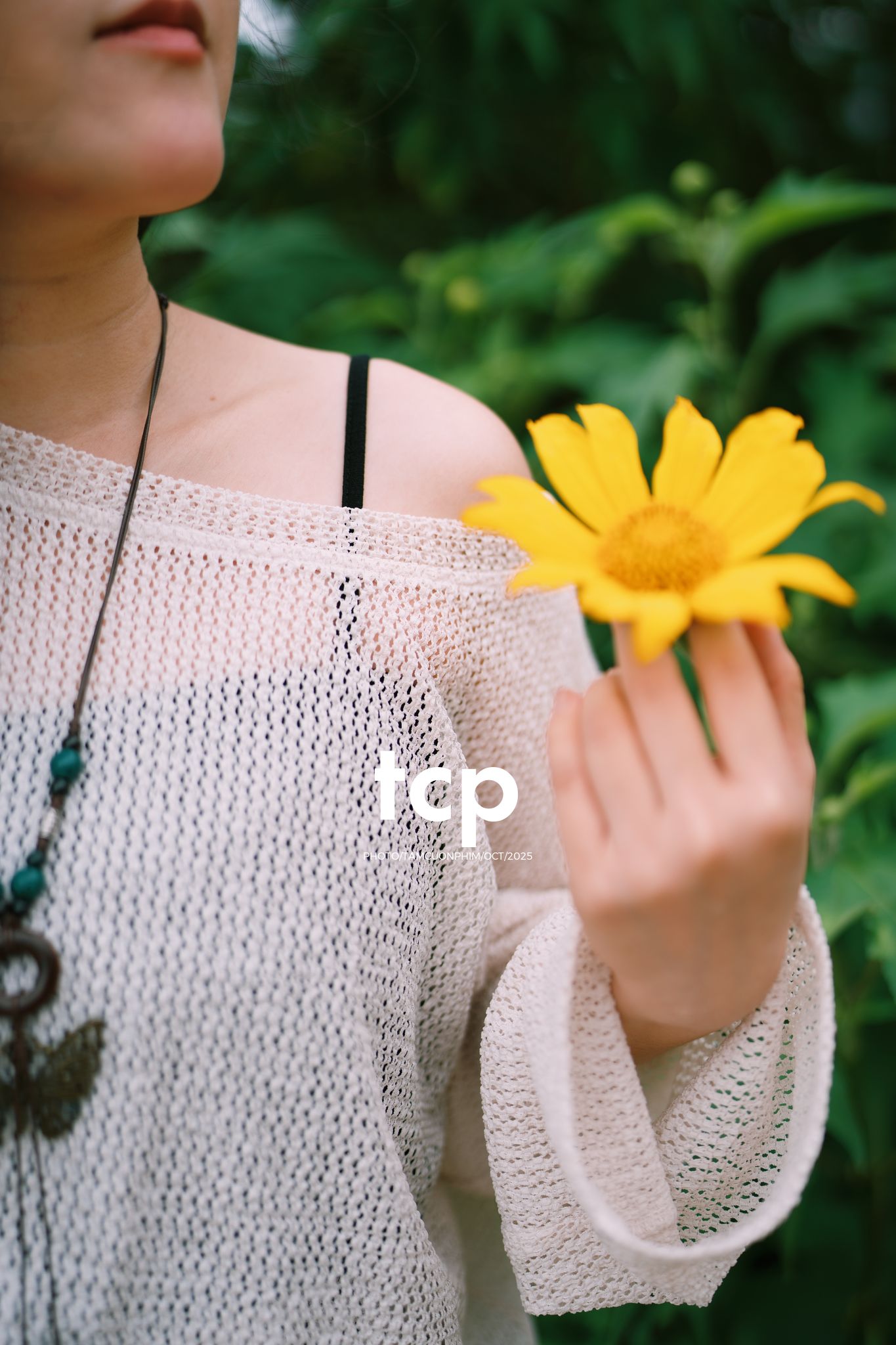 Tám Cuộn Phim - Chẳng phải chuyến đi nào cũng chỉ cần một chút bình yên thôi sao?