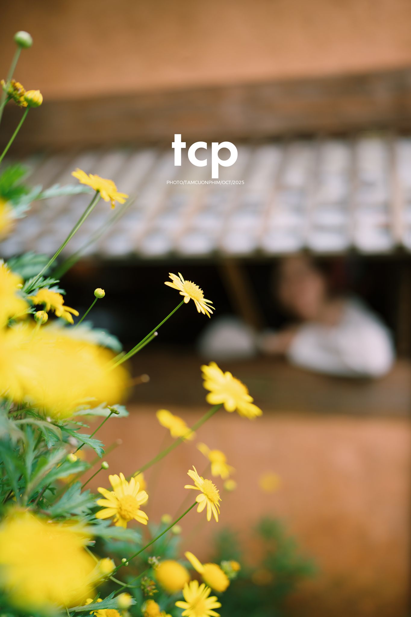 Tám Cuộn Phim - Chẳng phải chuyến đi nào cũng chỉ cần một chút bình yên thôi sao?