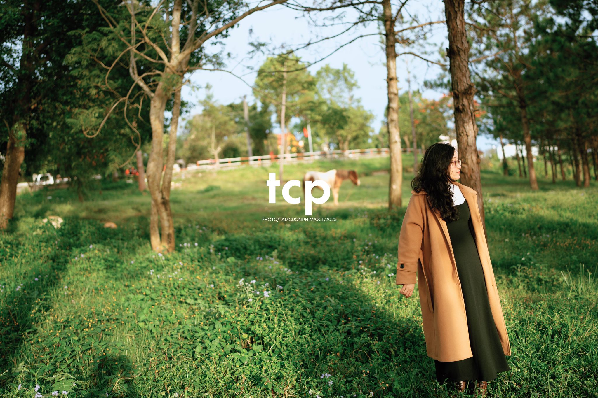 Tám Cuộn Phim - Chẳng phải chuyến đi nào cũng chỉ cần một chút bình yên thôi sao?