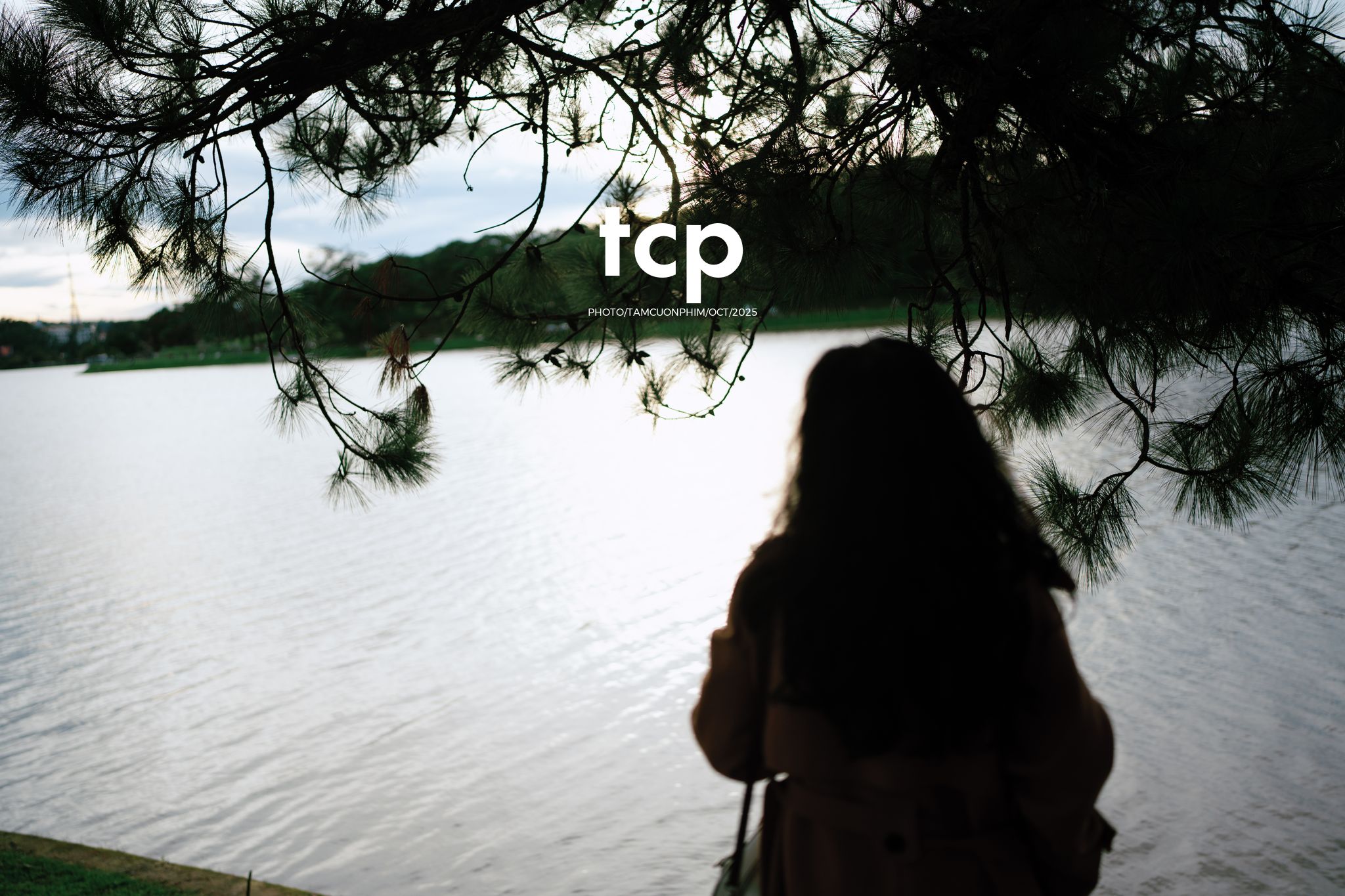 Tám Cuộn Phim - Chẳng phải chuyến đi nào cũng chỉ cần một chút bình yên thôi sao?