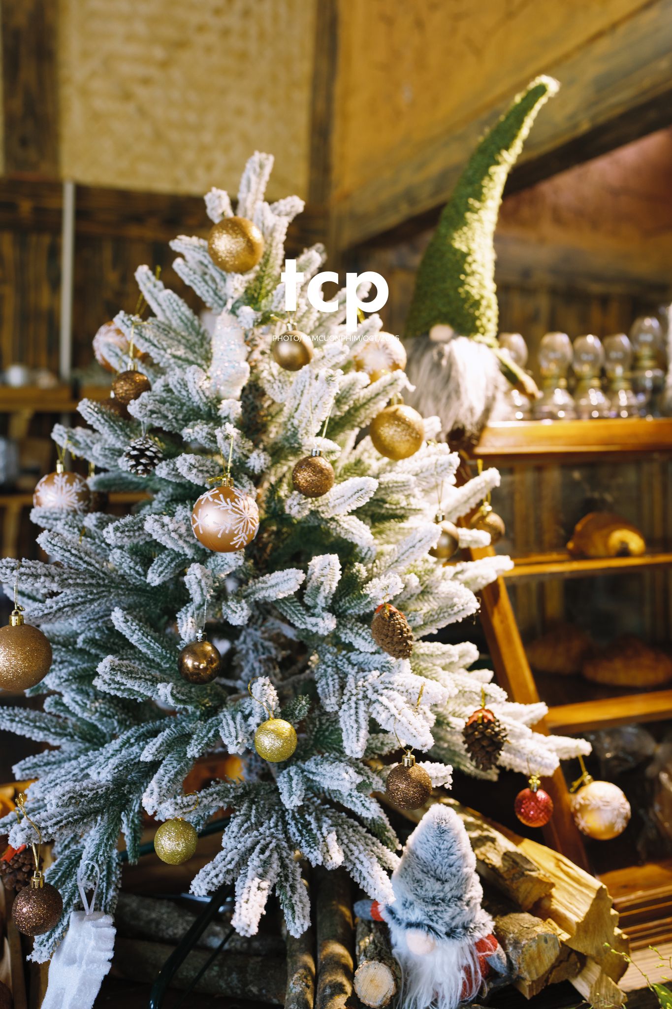 Tám Cuộn Phim - Nắng lạnh và bánh nóng