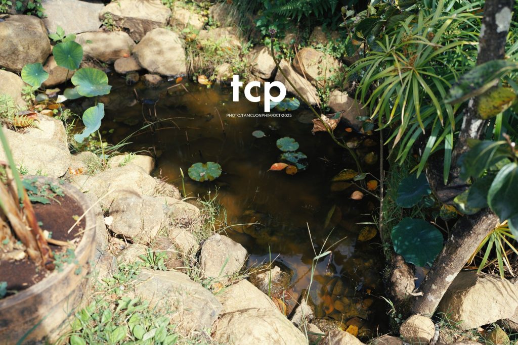 Tám Cuộn Phim - Nắng lạnh và bánh nóng