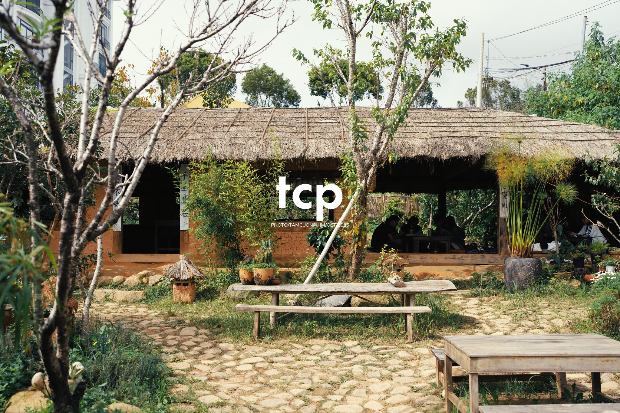 Tám Cuộn Phim - Nắng lạnh và bánh nóng