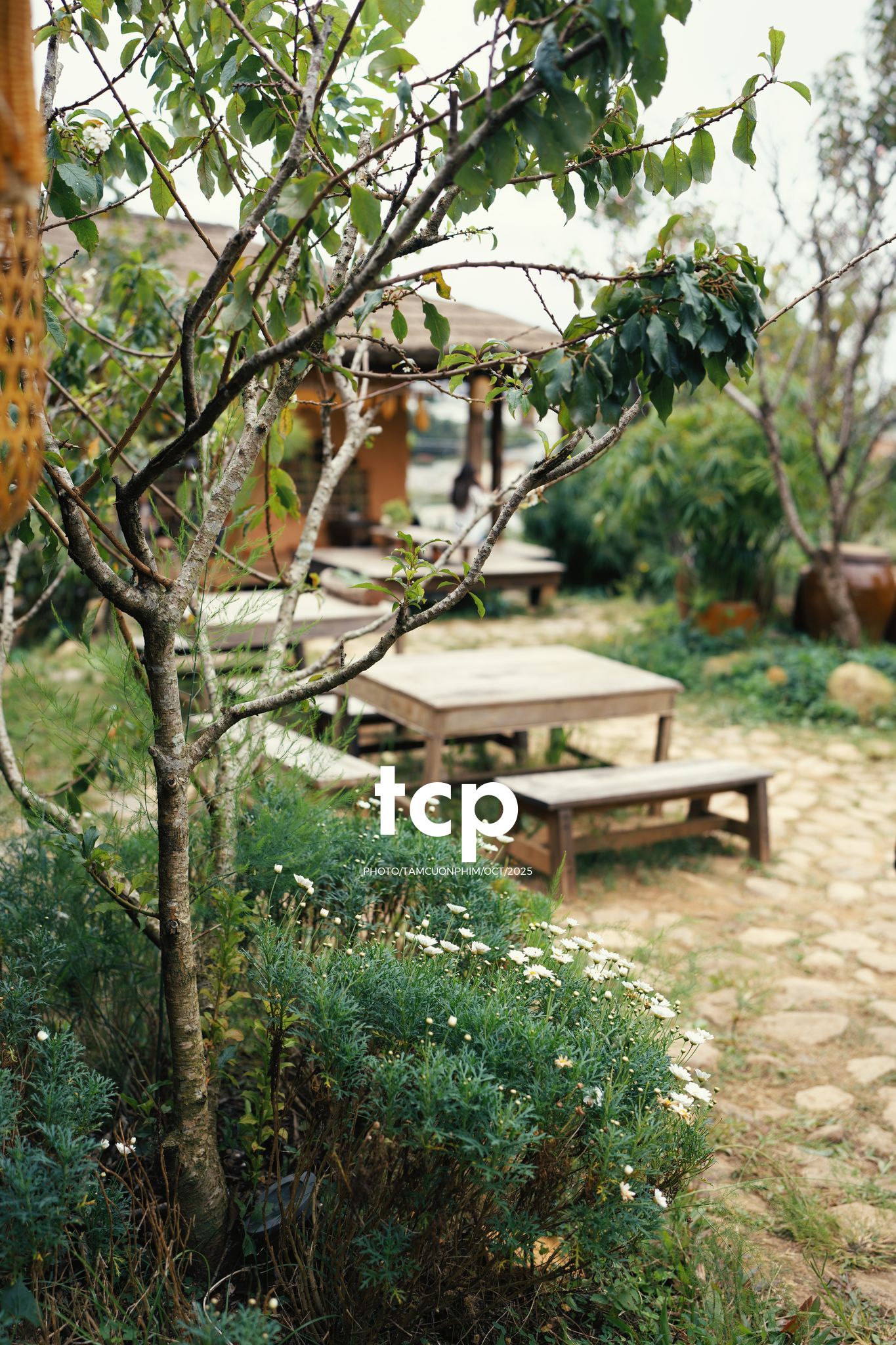 Tám Cuộn Phim - Nắng lạnh và bánh nóng