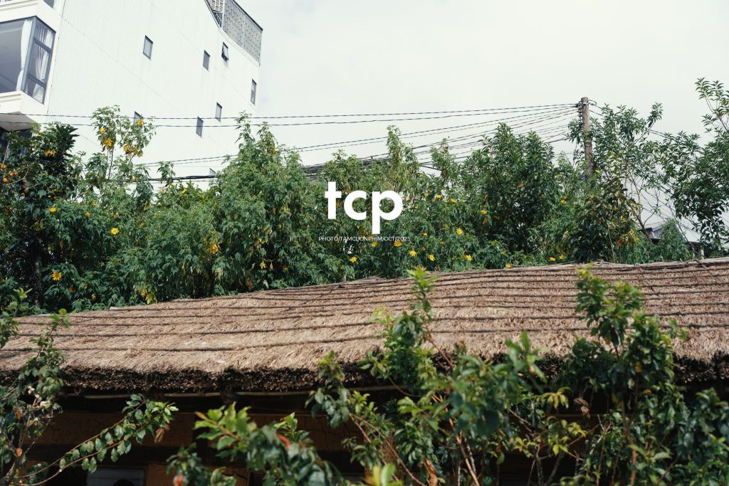 Tám Cuộn Phim - Nắng lạnh và bánh nóng