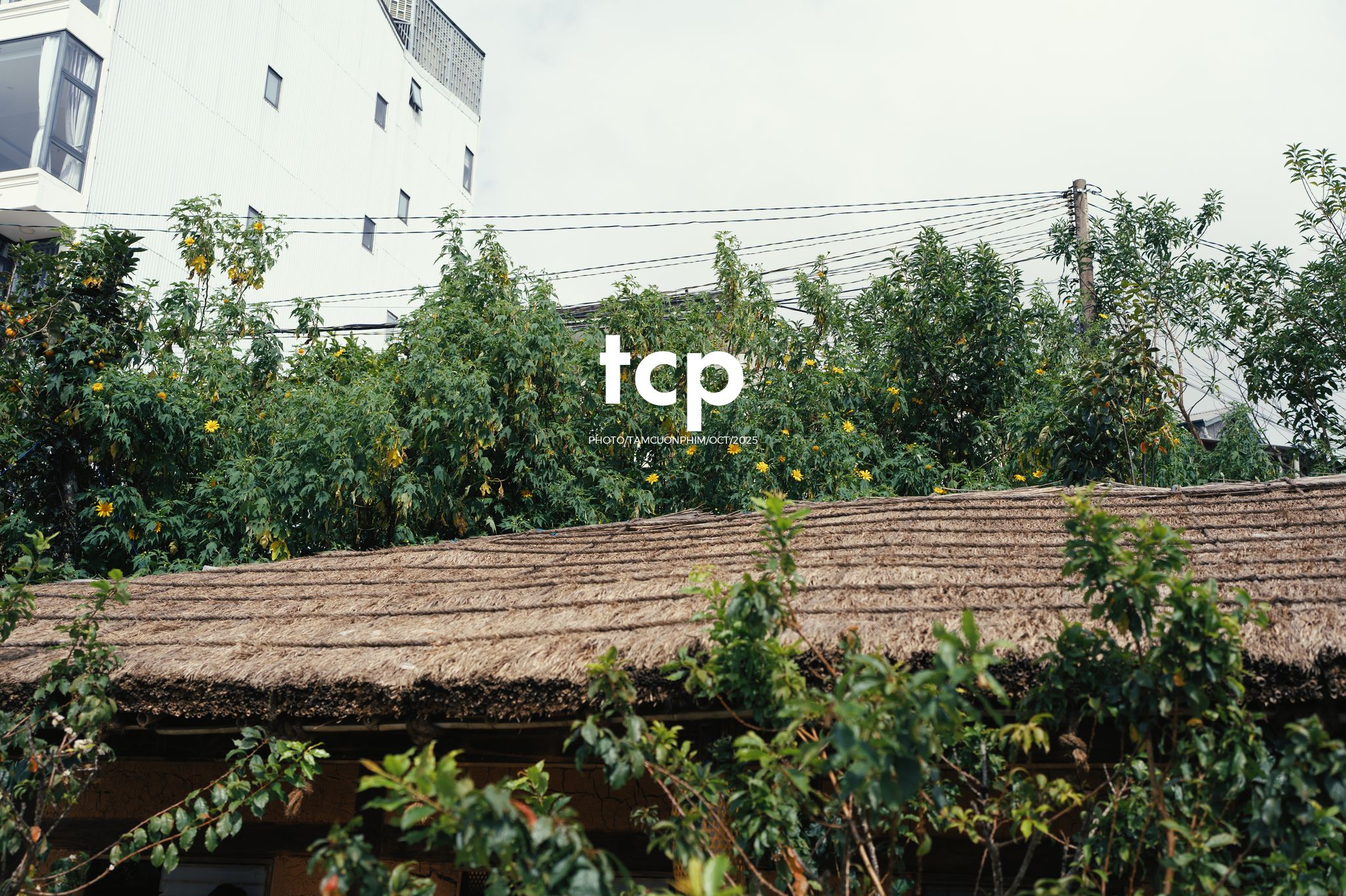 Tám Cuộn Phim - Nắng lạnh và bánh nóng