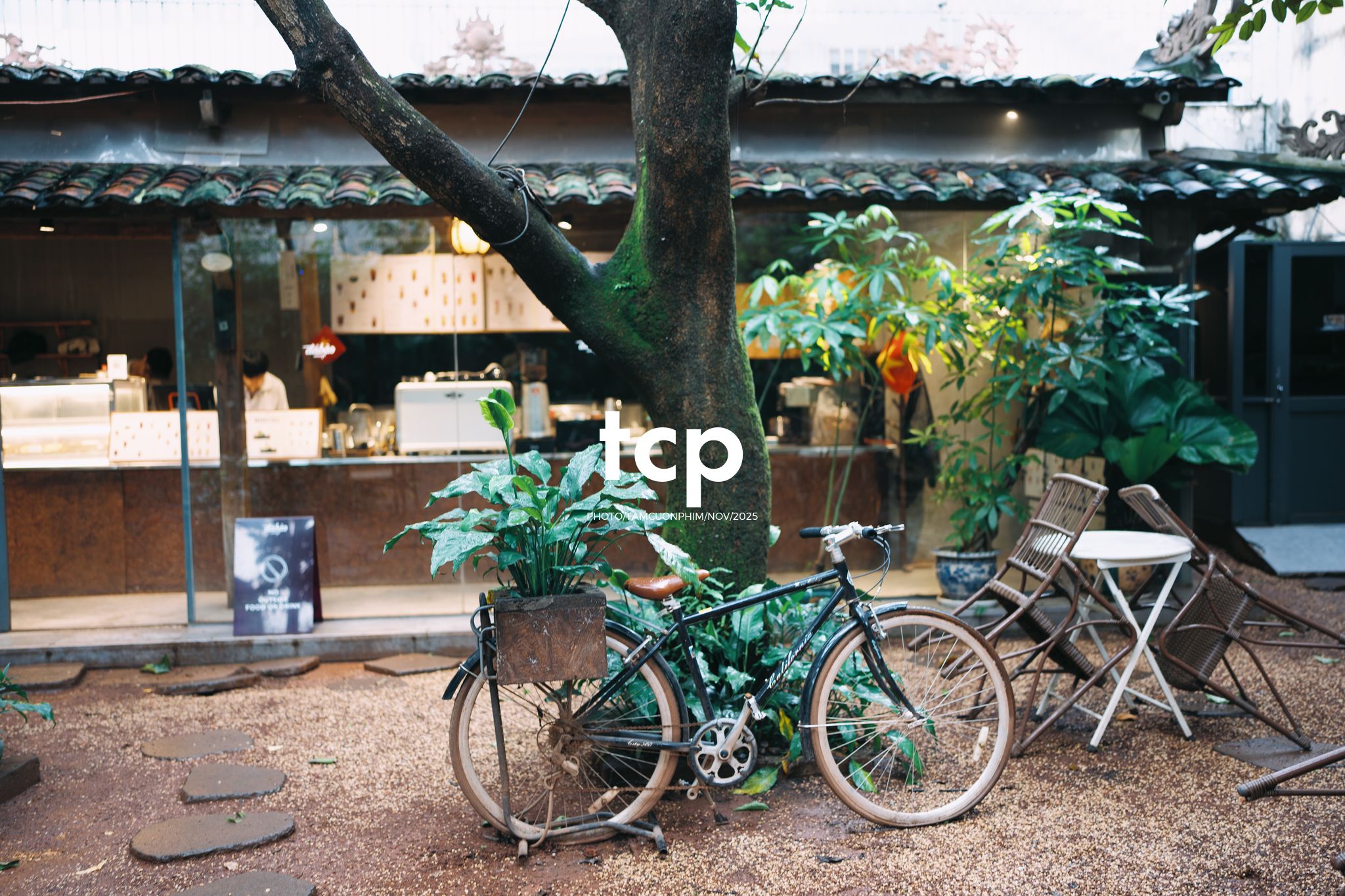 Tám Cuộn Phim - Hành trình khám phá đầy cảm hứng