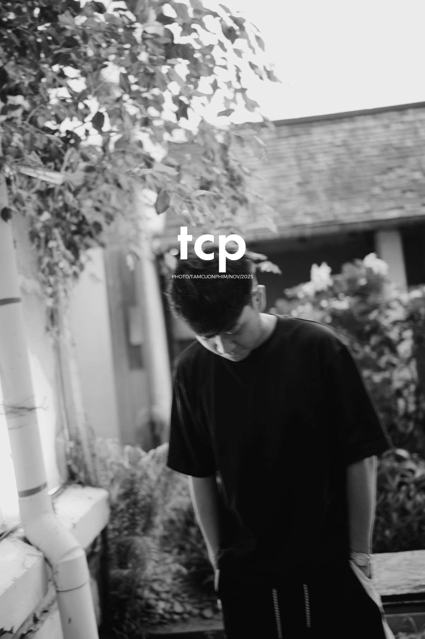 Tám Cuộn Phim - Hành trình khám phá đầy cảm hứng