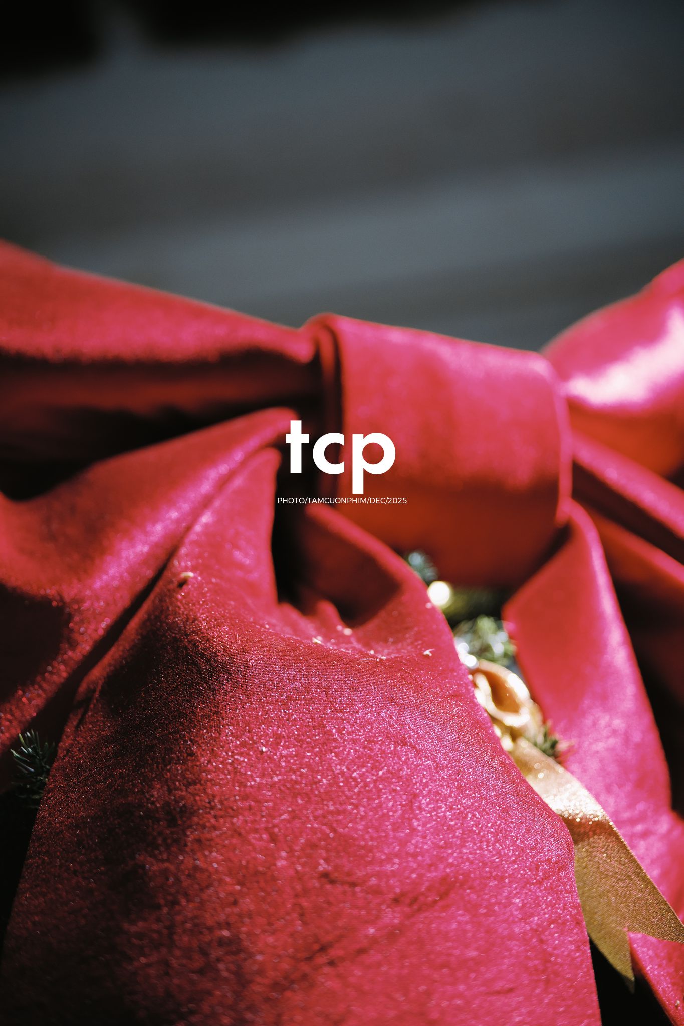 Tám Cuộn Phim - Hương cà phê và sắc đỏ mùa lễ hội