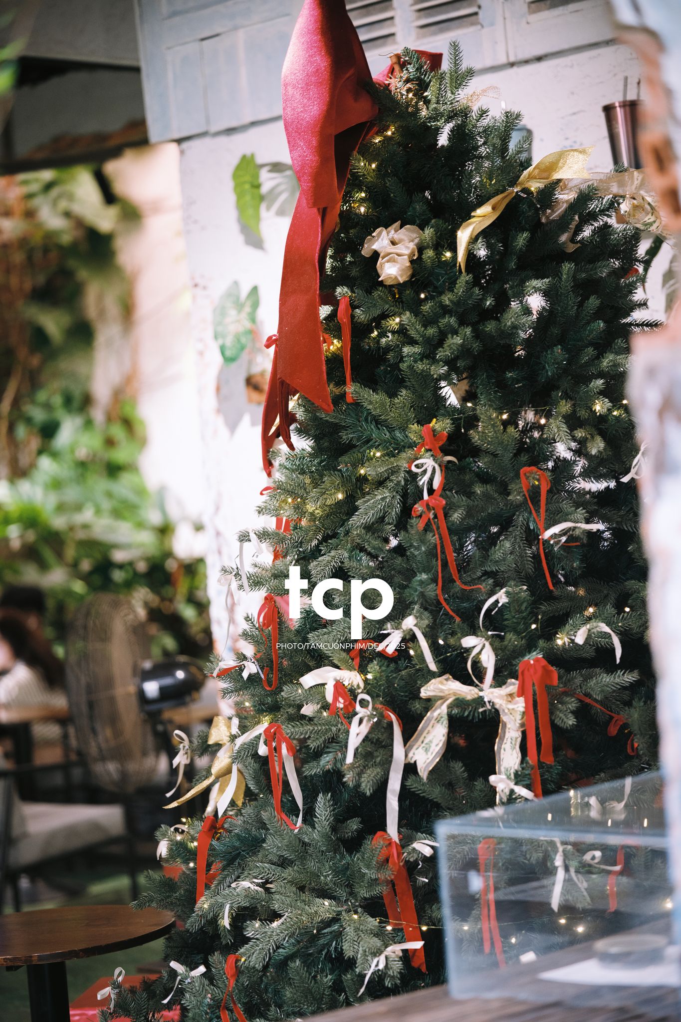 Tám Cuộn Phim - Hương cà phê và sắc đỏ mùa lễ hội