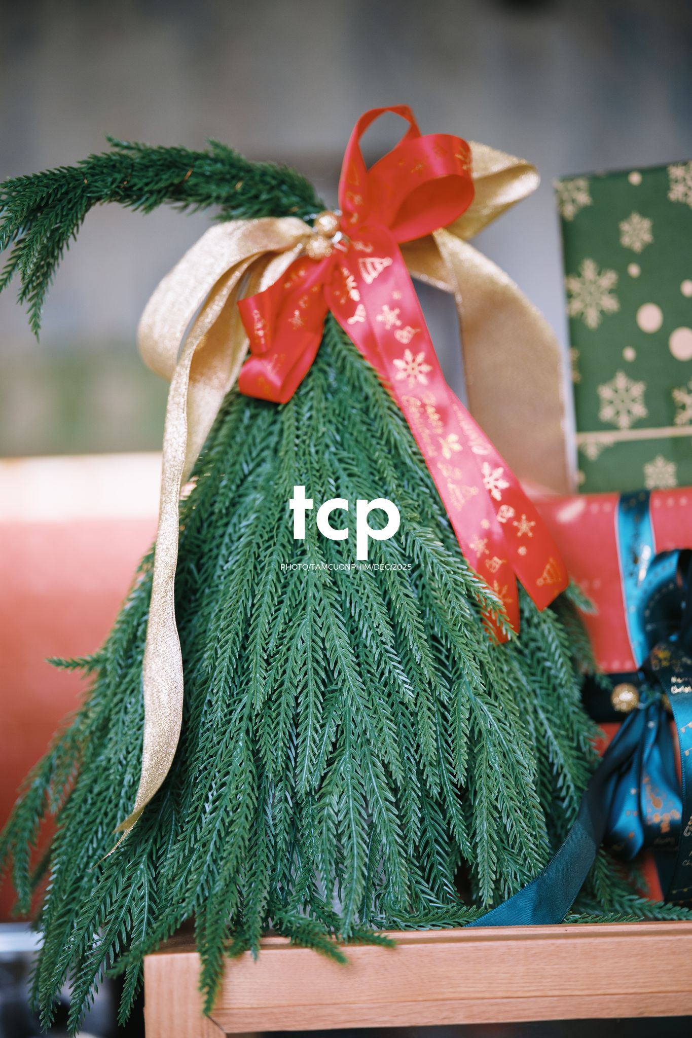 Tám Cuộn Phim - Hương cà phê và sắc đỏ mùa lễ hội