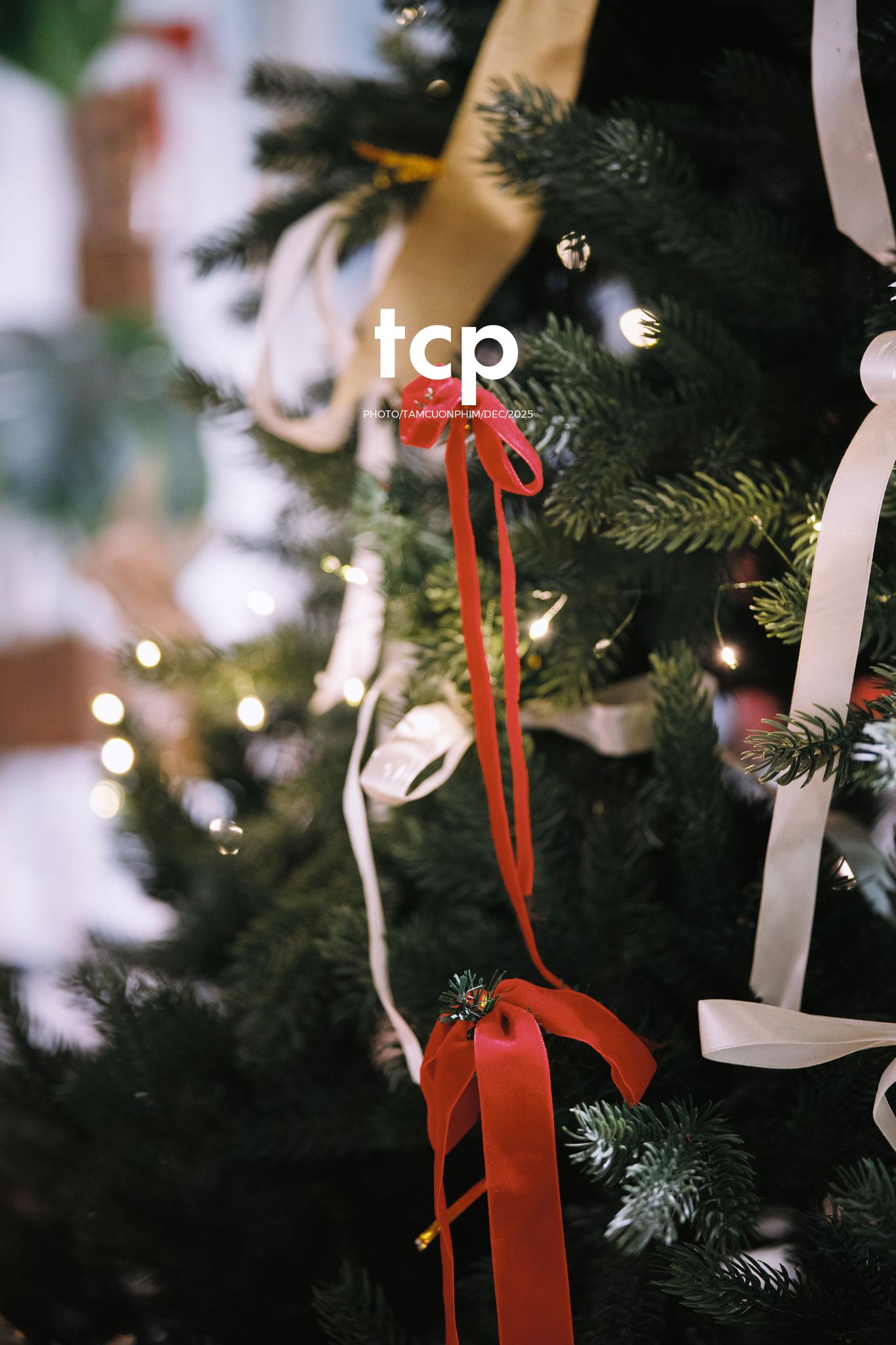 Tám Cuộn Phim - Hương cà phê và sắc đỏ mùa lễ hội