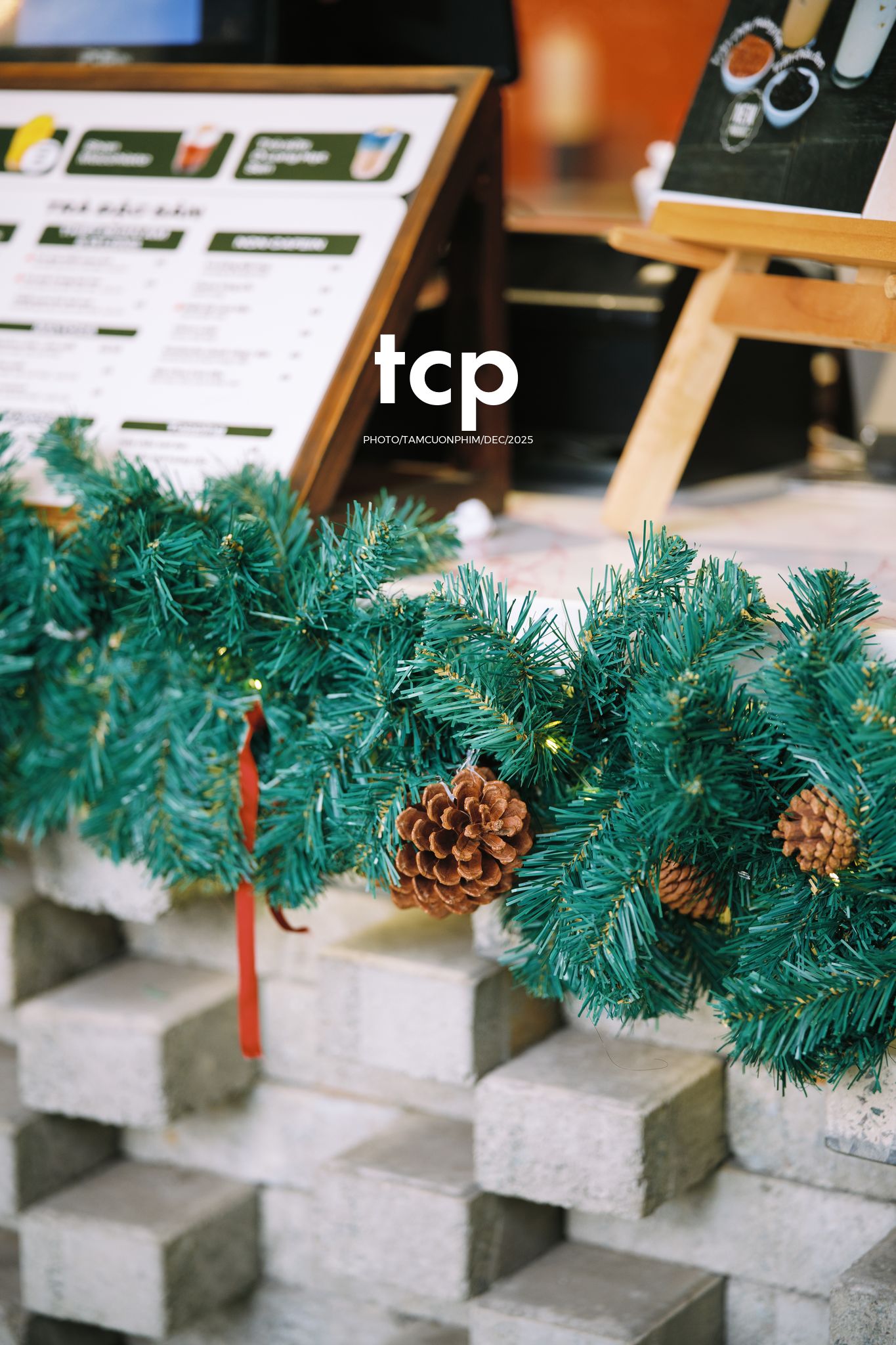 Tám Cuộn Phim - Hương cà phê và sắc đỏ mùa lễ hội