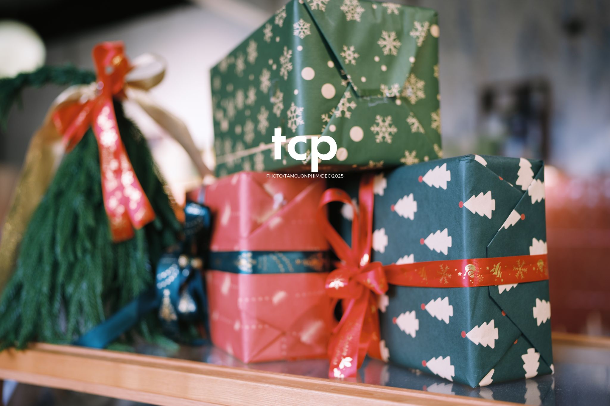 Tám Cuộn Phim - Hương cà phê và sắc đỏ mùa lễ hội