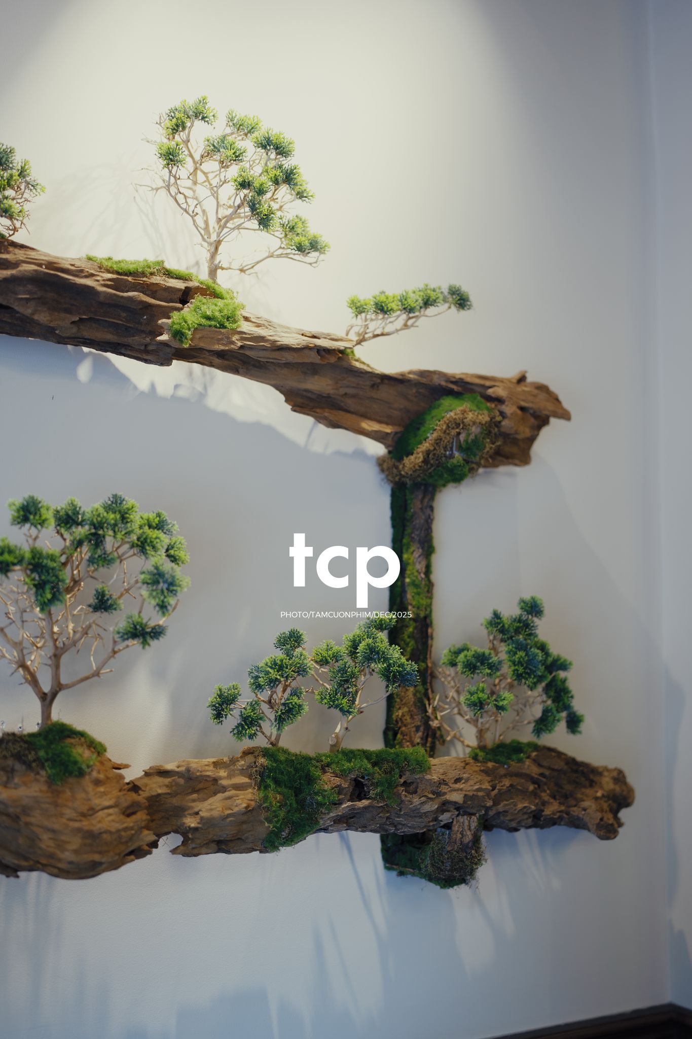 Tám Cuộn Phim - Ly trà trái cây chưa kịp vơi thì chuyện cũ đã kể xong