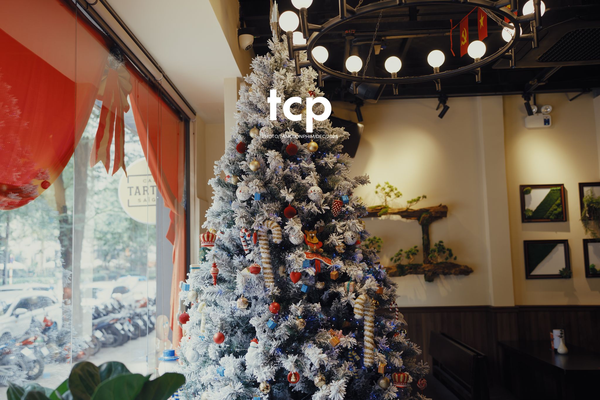 Tám Cuộn Phim - Ly trà trái cây chưa kịp vơi thì chuyện cũ đã kể xong