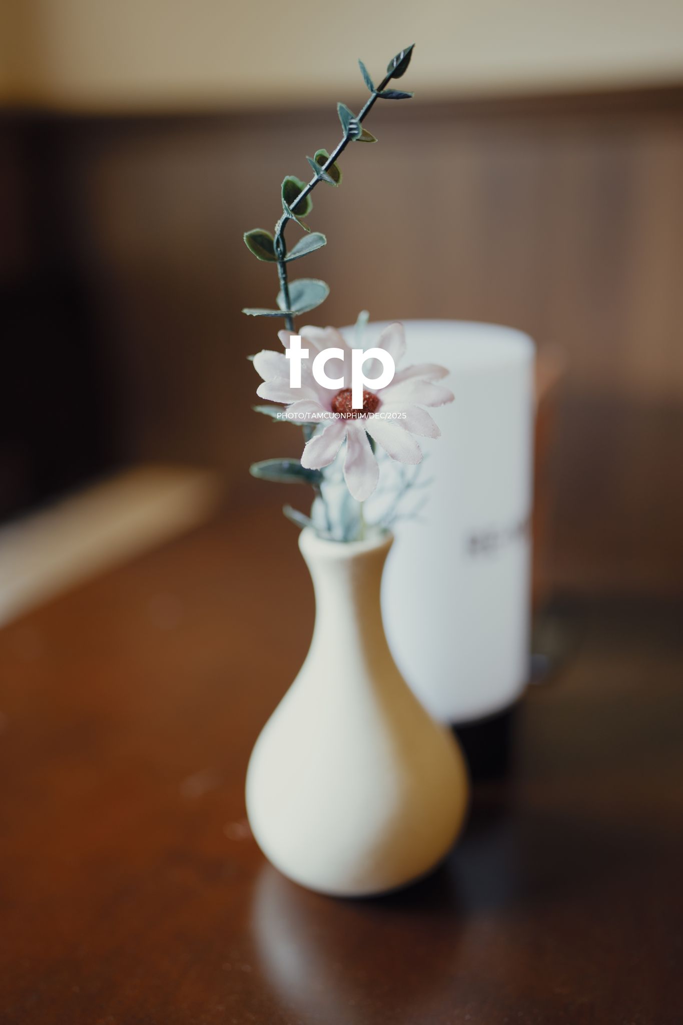 Tám Cuộn Phim - Ly trà trái cây chưa kịp vơi thì chuyện cũ đã kể xong