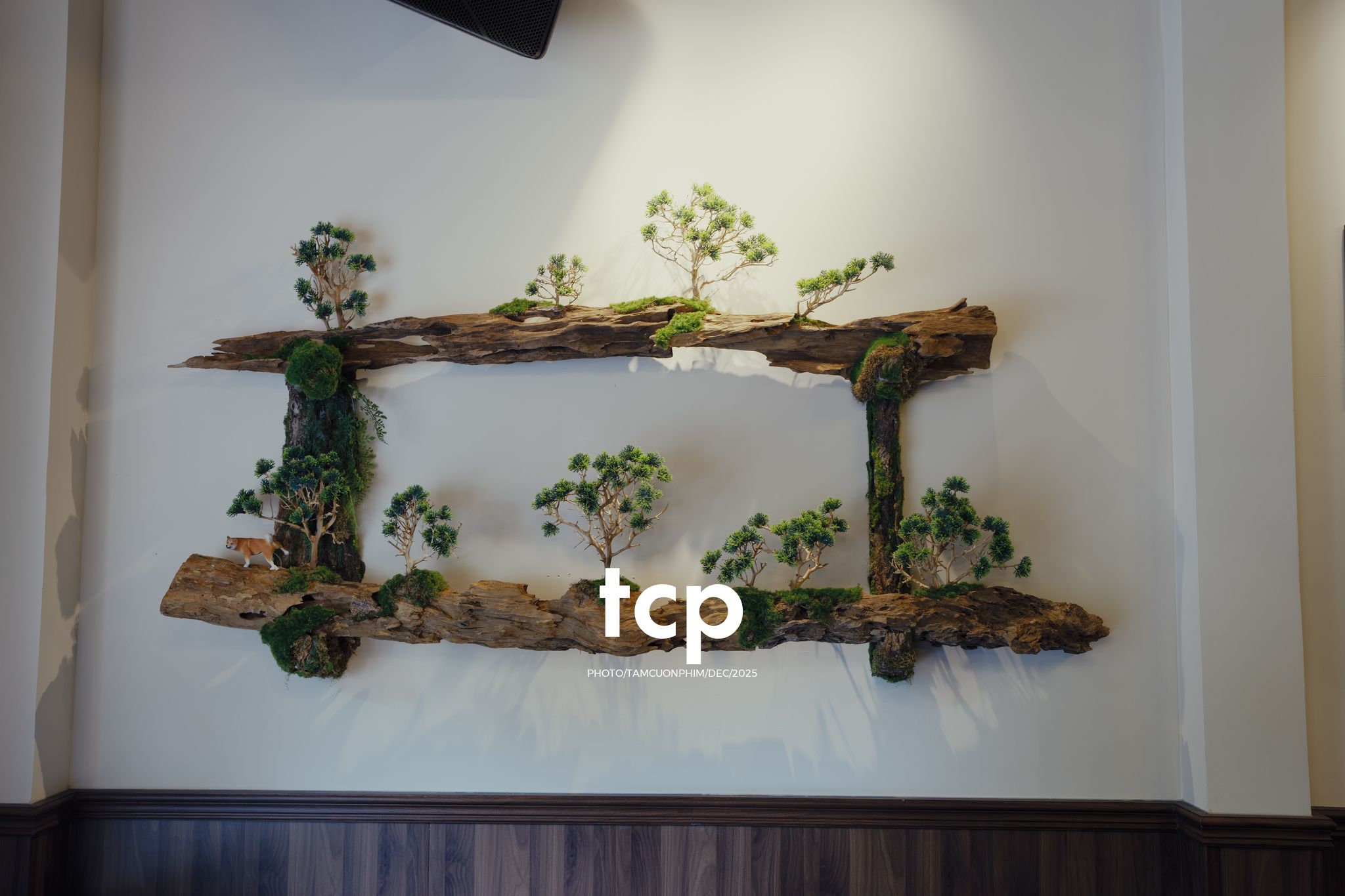 Tám Cuộn Phim - Ly trà trái cây chưa kịp vơi thì chuyện cũ đã kể xong