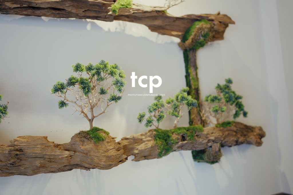 Tám Cuộn Phim - Ly trà trái cây chưa kịp vơi thì chuyện cũ đã kể xong