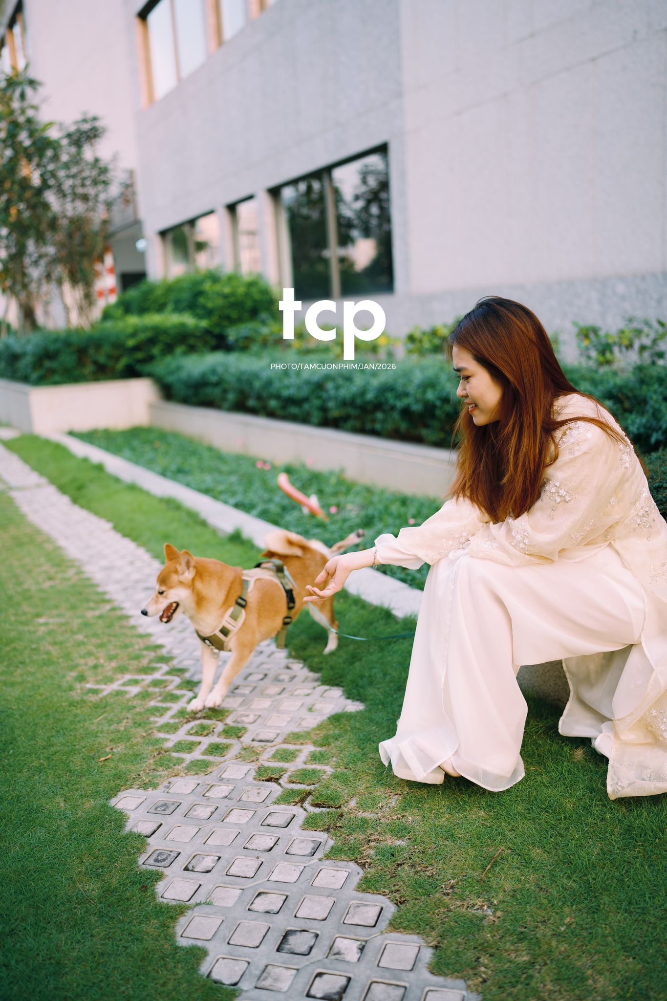 Tám Cuộn Phim - Nét duyên dáng trong buổi chiều dạo phố cùng người bạn nhỏ