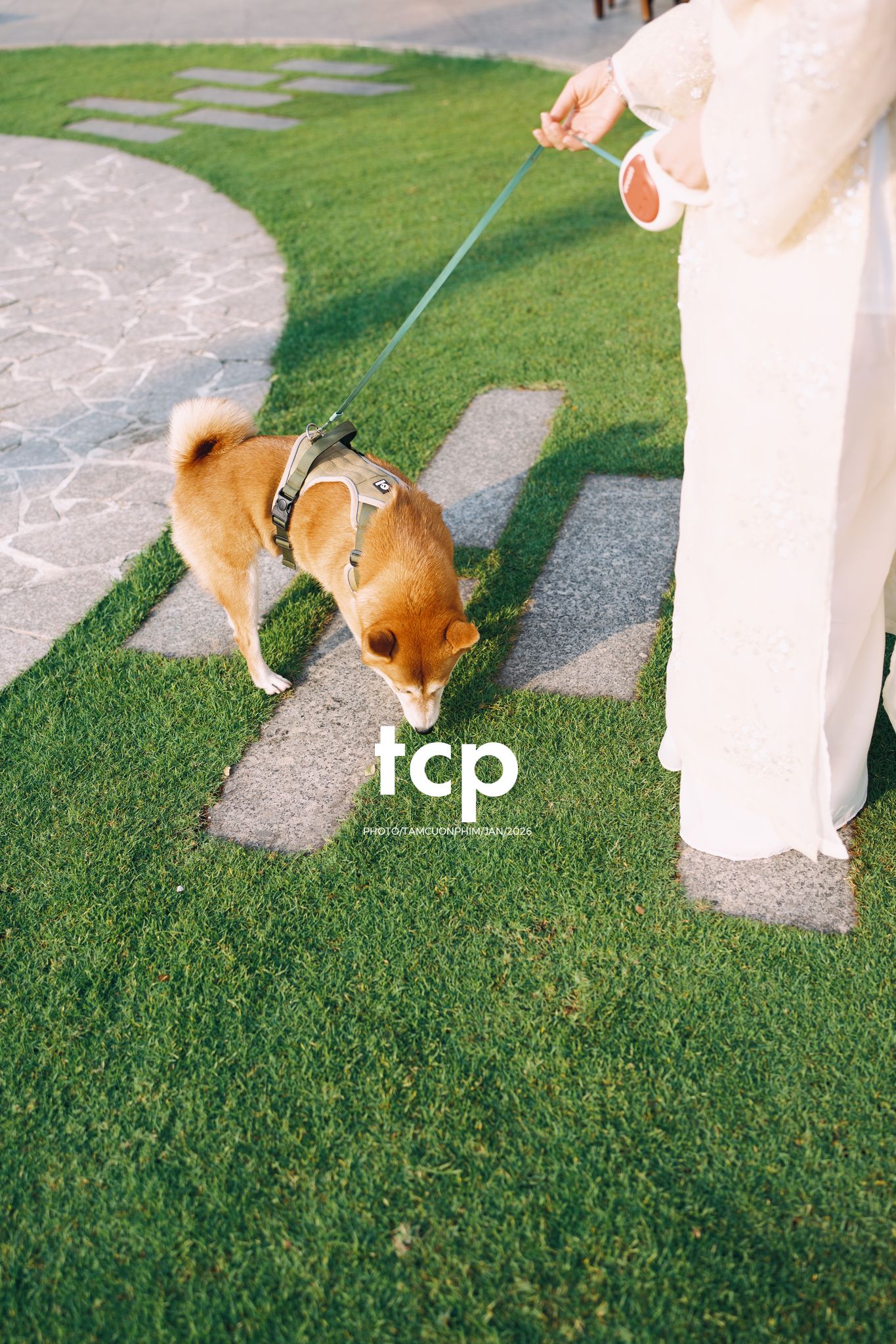 Tám Cuộn Phim - Nét duyên dáng trong buổi chiều dạo phố cùng người bạn nhỏ