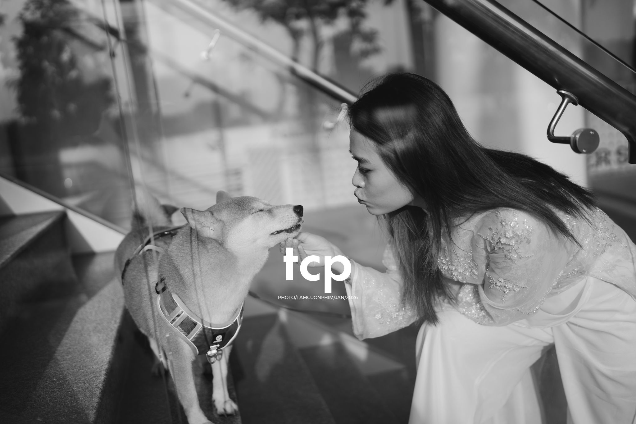 Tám Cuộn Phim - Nét duyên dáng trong buổi chiều dạo phố cùng người bạn nhỏ