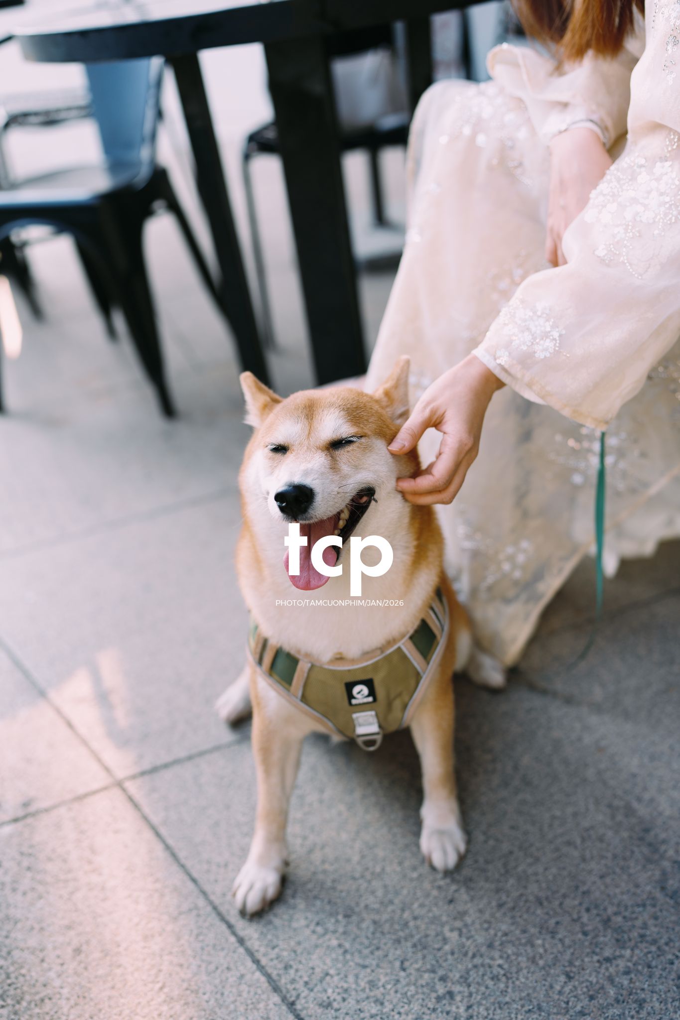 Tám Cuộn Phim - Nét duyên dáng trong buổi chiều dạo phố cùng người bạn nhỏ