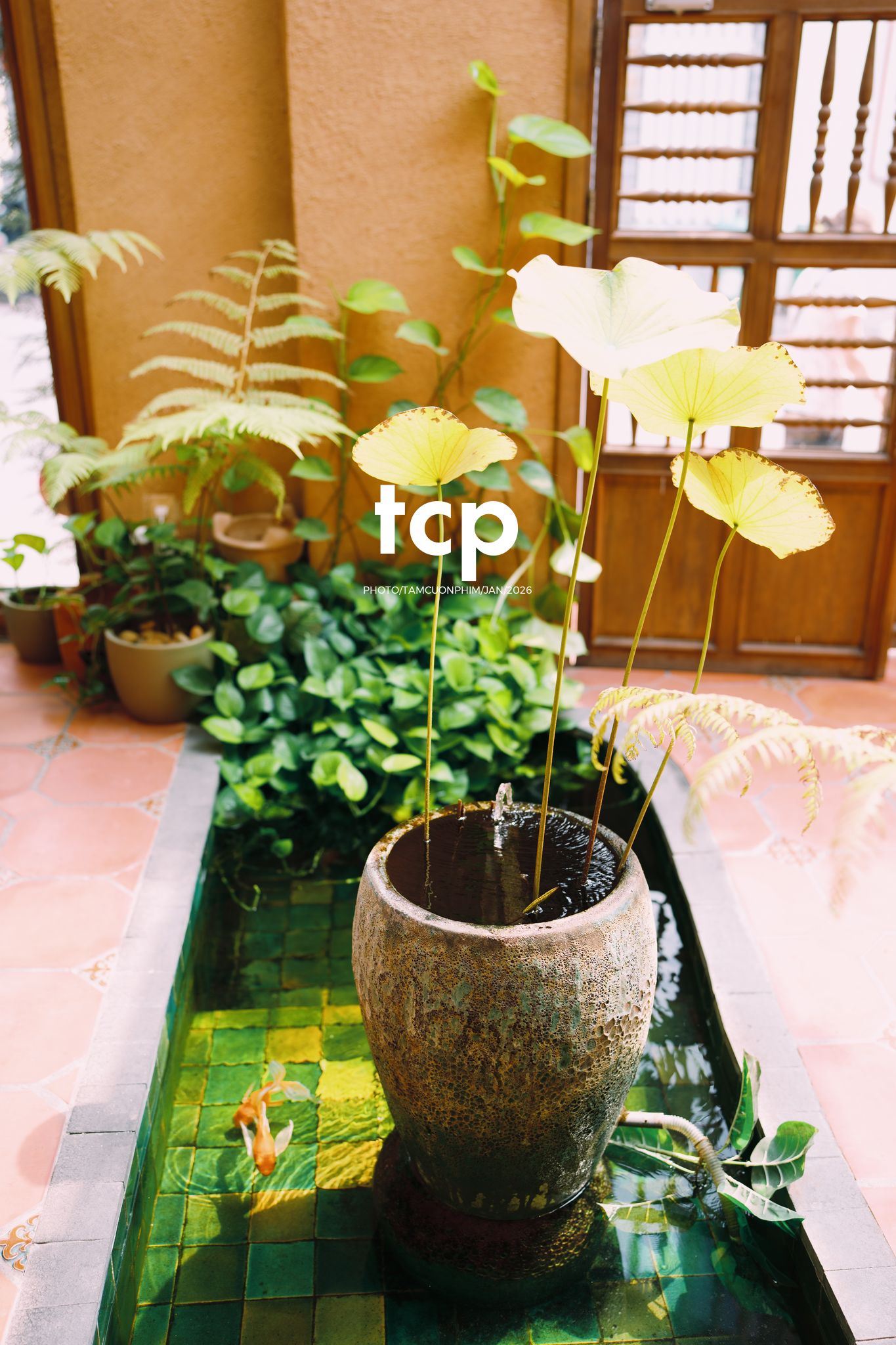 Tám Cuộn Phim - Nơi tâm hồn tìm về sự an nhiên