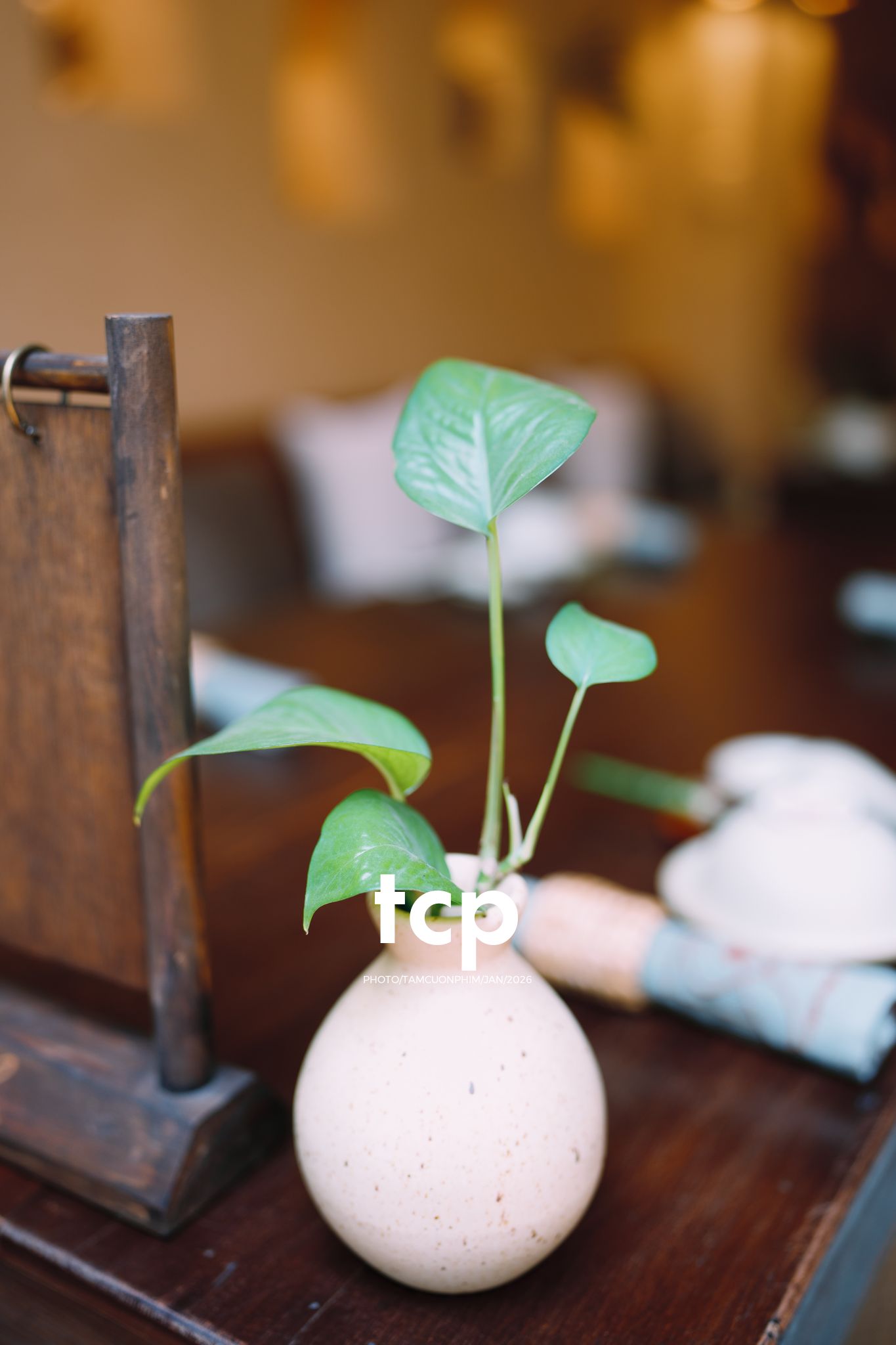 Tám Cuộn Phim - Nơi tâm hồn tìm về sự an nhiên