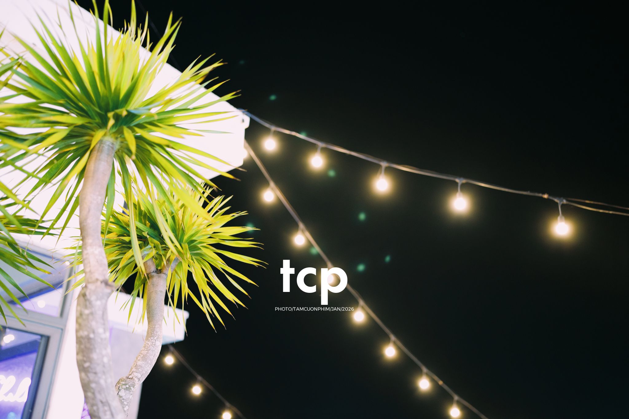 Tám Cuộn Phim - Chiếc view triệu đô cùng hội bạn "tâm đầu ý hợp"