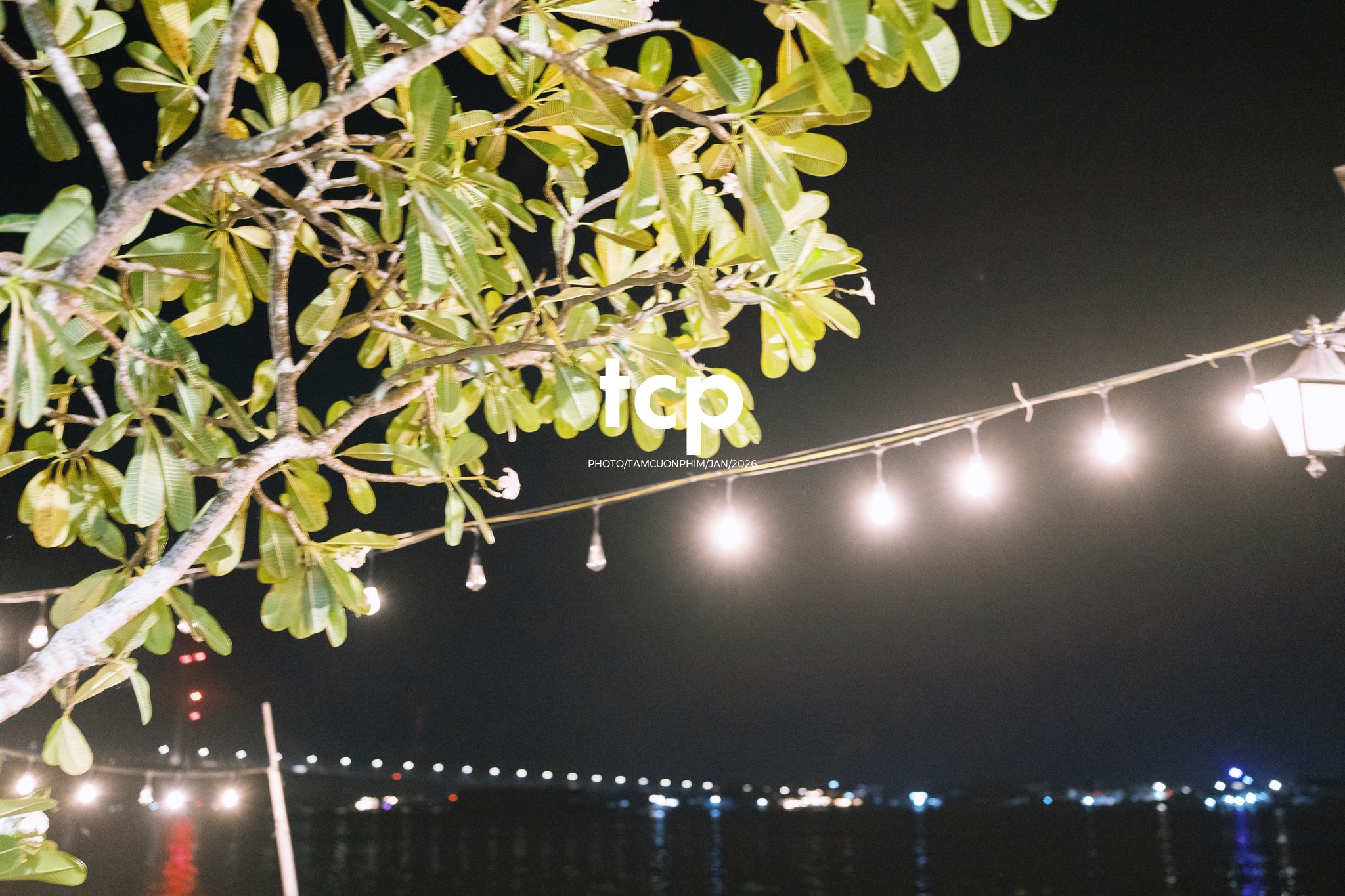 Tám Cuộn Phim - Nhịp sống ven sông đêm Cao Lãnh