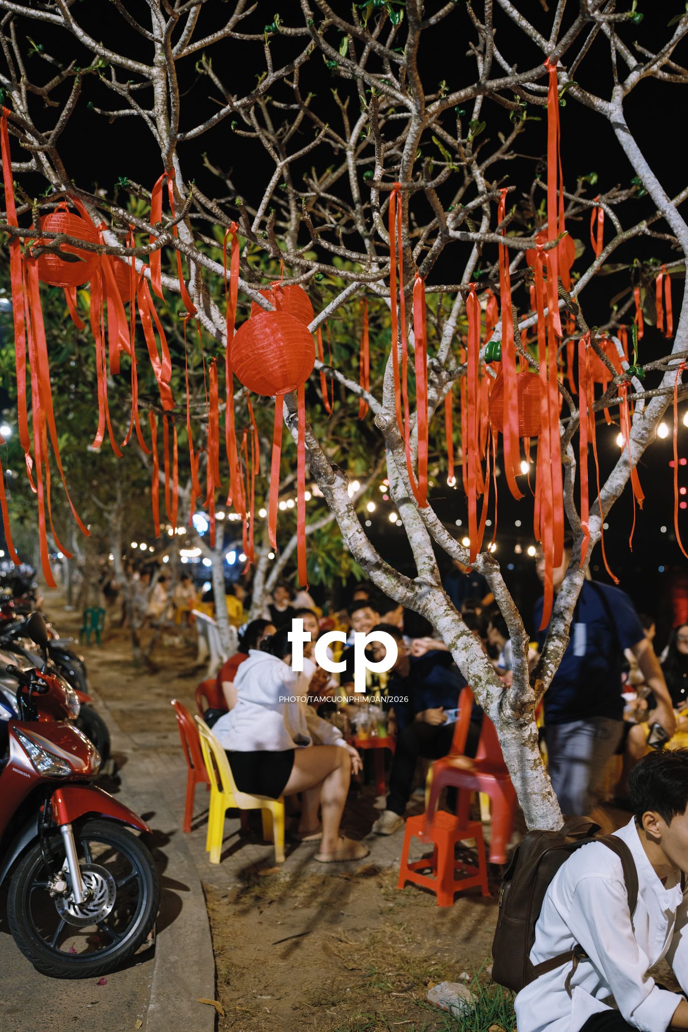 Tám Cuộn Phim - Nhịp sống ven sông đêm Cao Lãnh