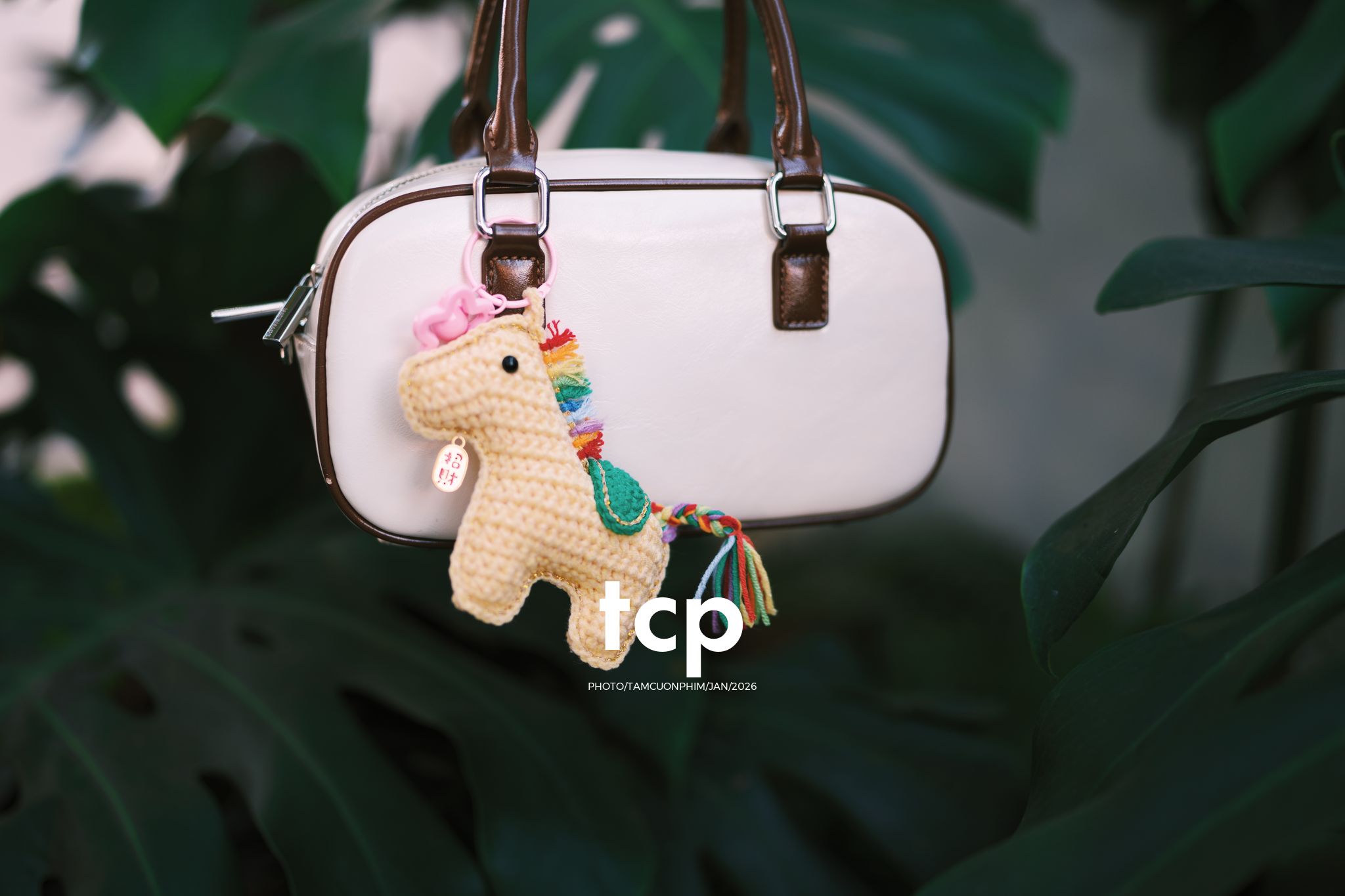 Tám Cuộn Phim - Những món phụ kiện len đan đầy màu sắc