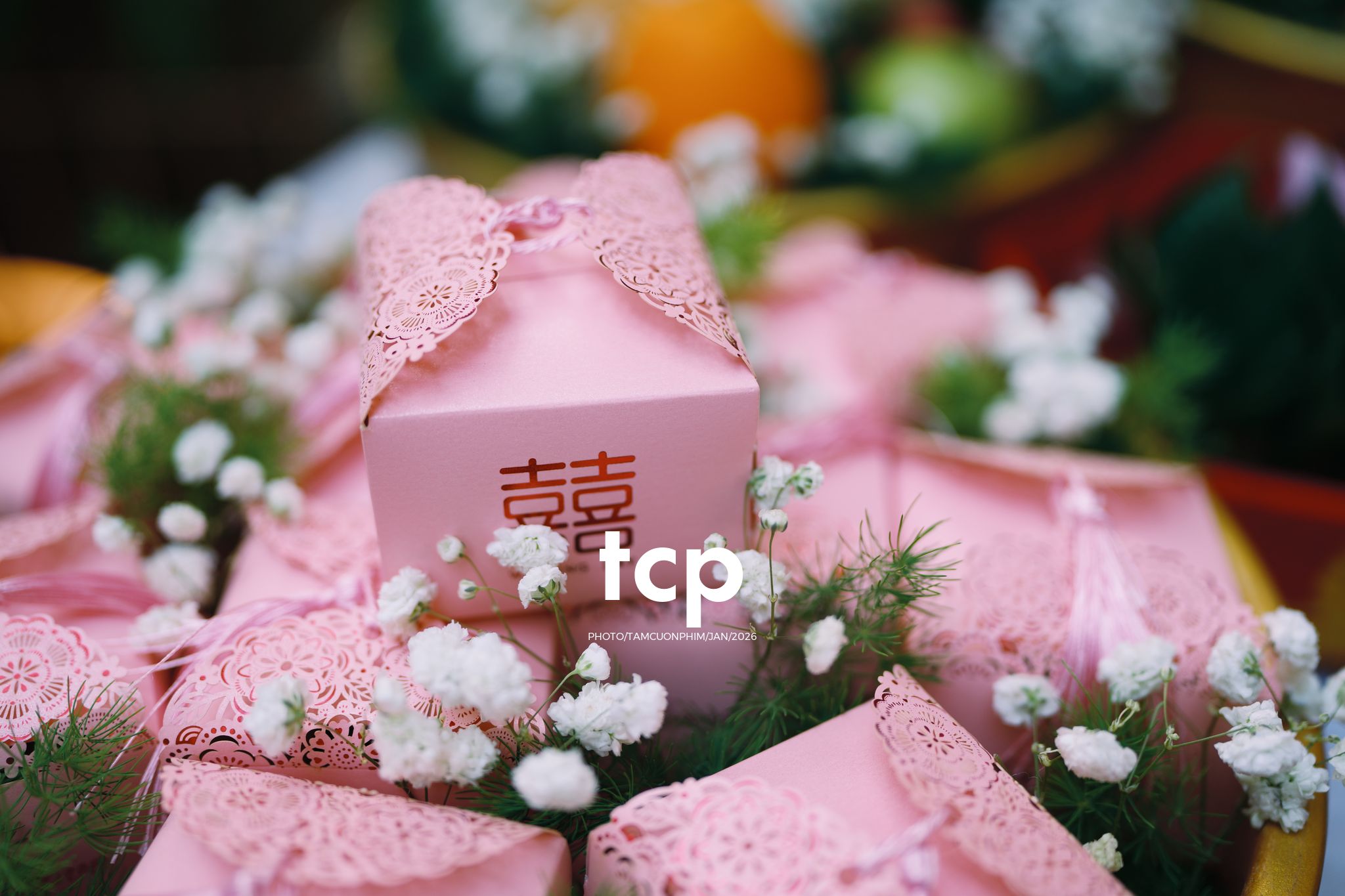 Tám Cuộn Phim - Sắc đỏ ngày chung đôi