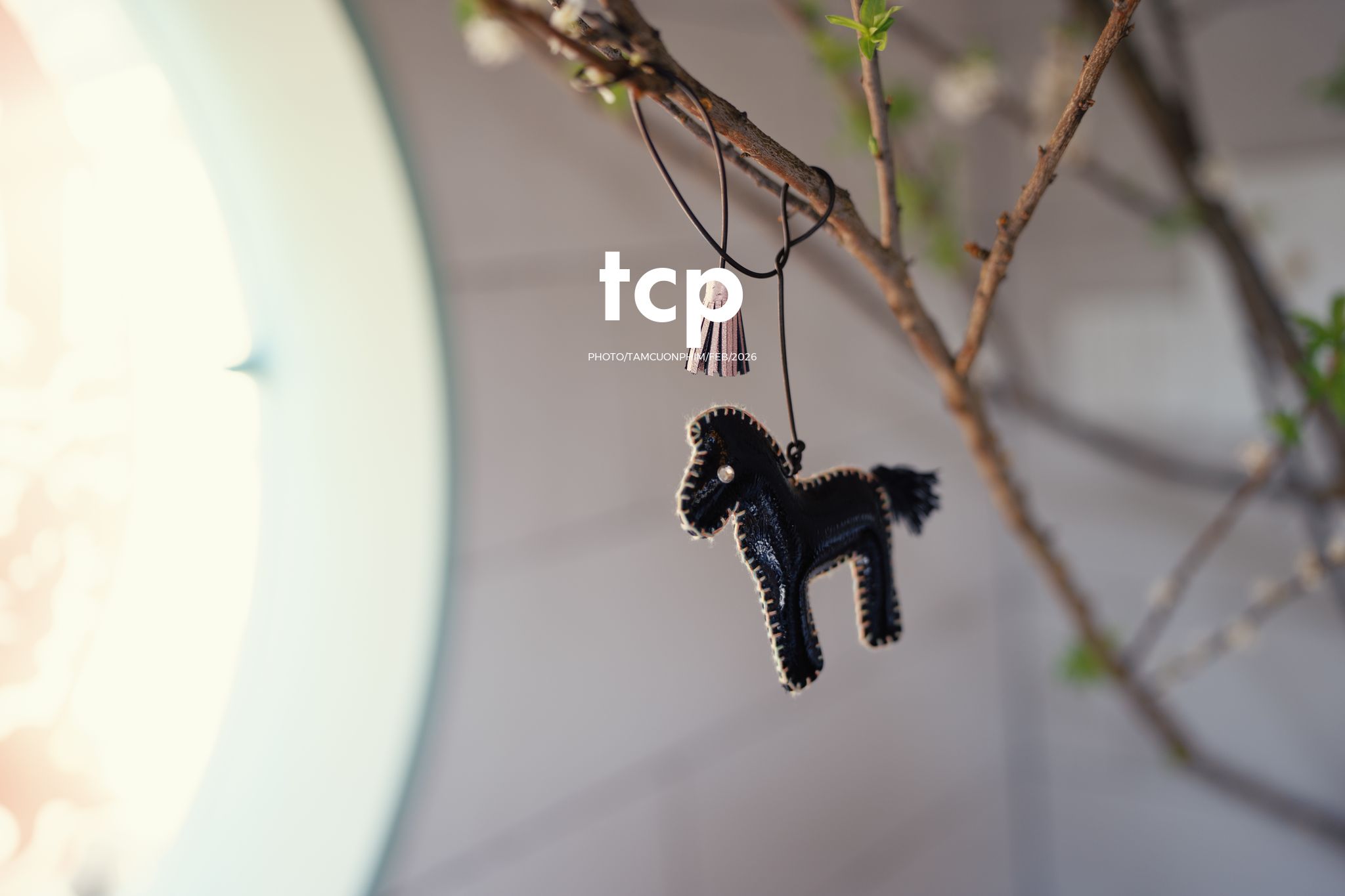 Tám Cuộn Phim - Ly cà phê còn vơi phân nửa giữa phố thị