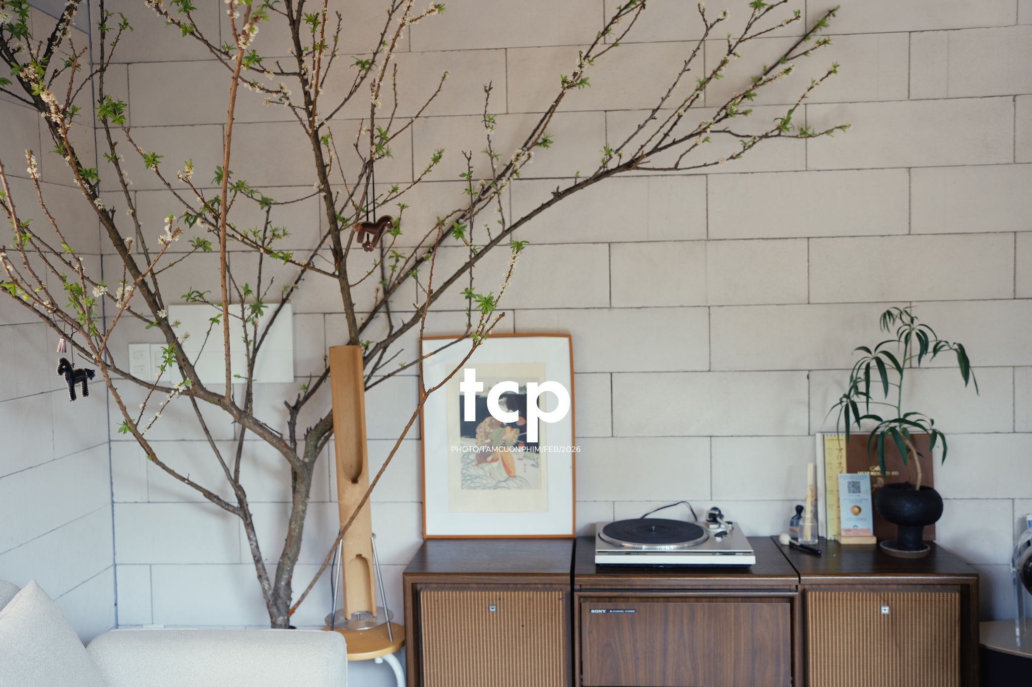 Tám Cuộn Phim - Ly cà phê còn vơi phân nửa giữa phố thị